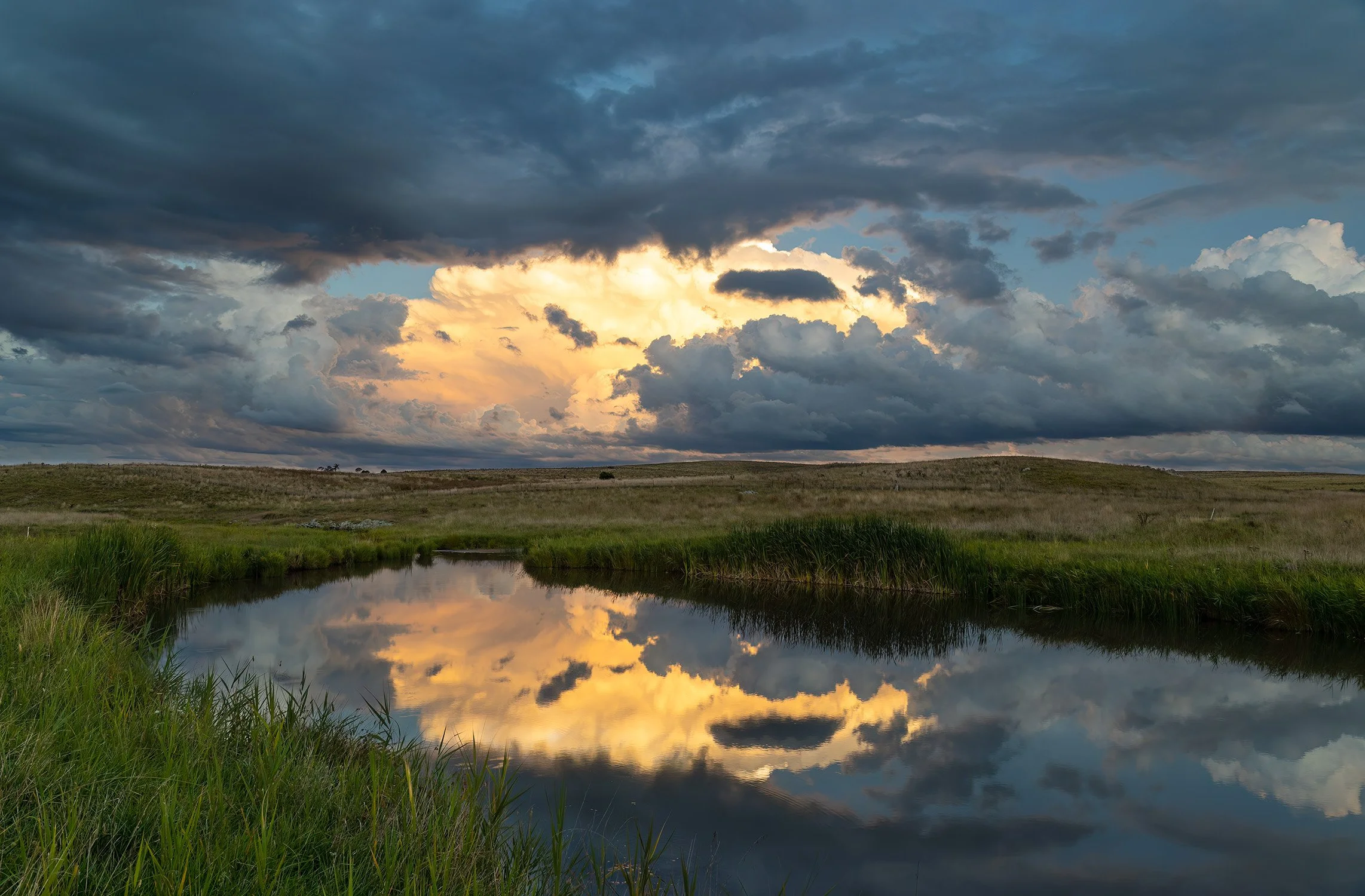 0Q3A8780-Elliots Road.jpg