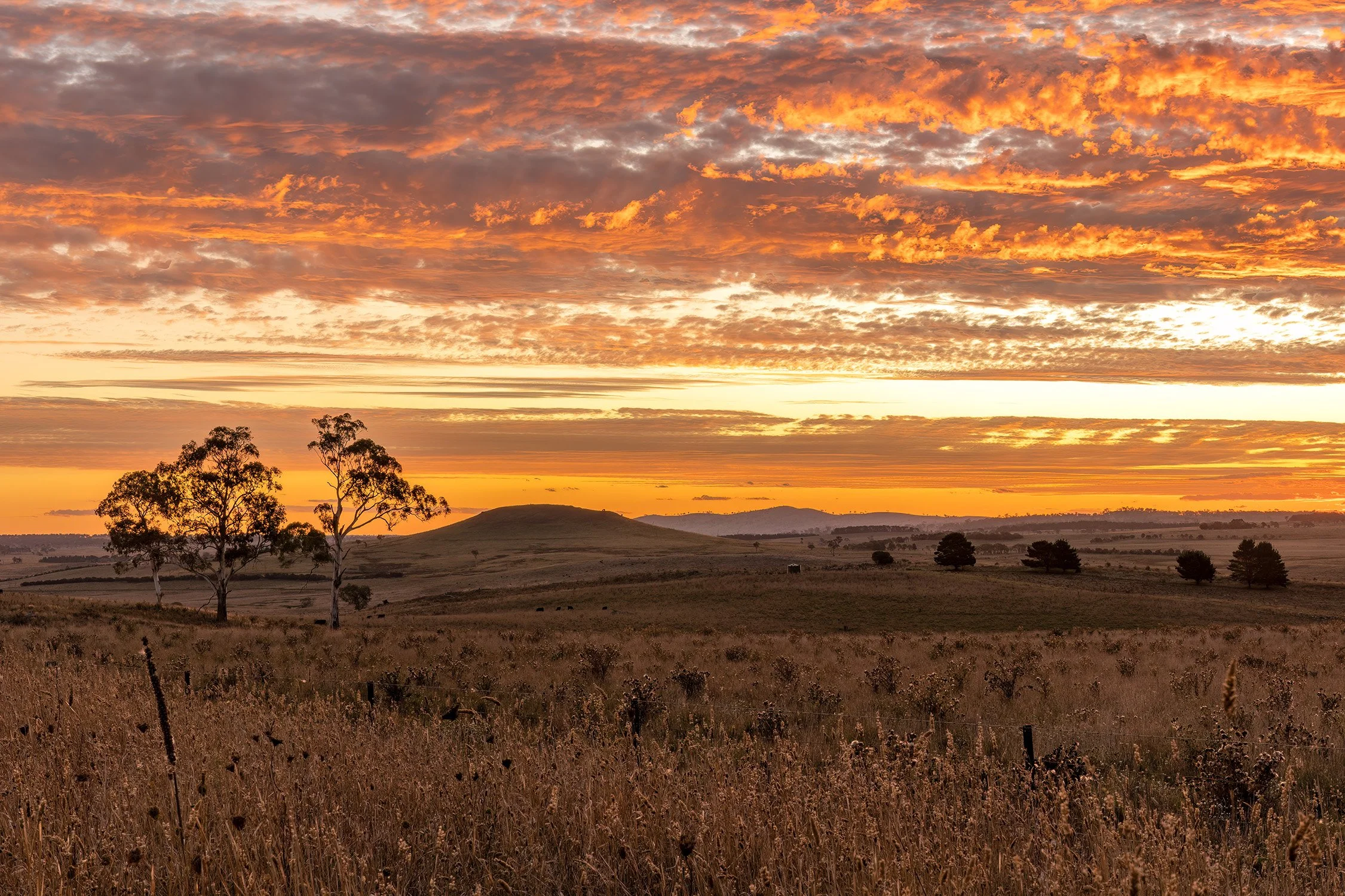 _Q3A4862-Sunset Dangarseigh.jpg