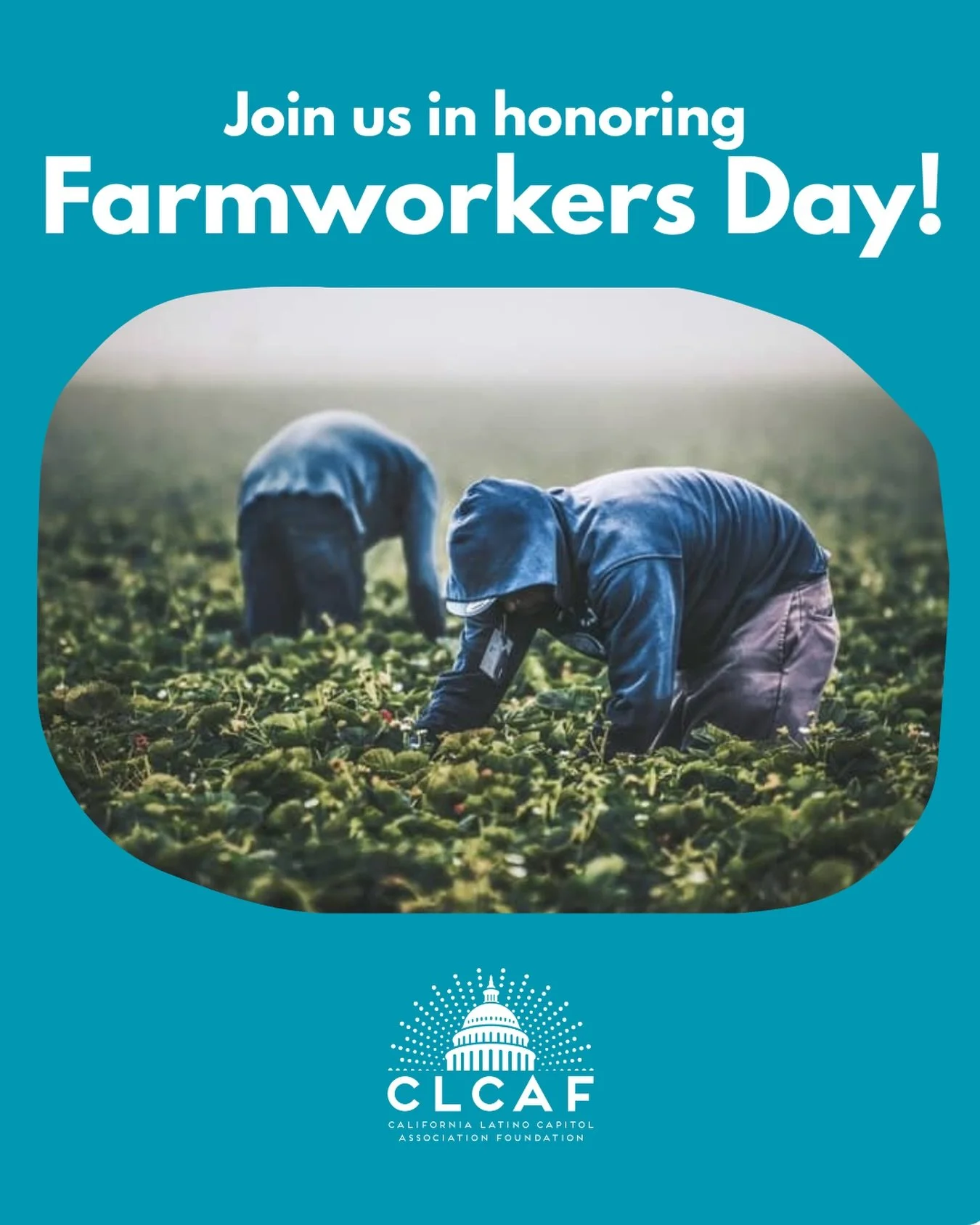 Today we honor the people who built a movement against powerful forces. Farmworkers who created a set of standards; dignity, respect, and rights. Farmworkers who, through anguishing labor, bring food to our tables. Farmworkers who, in hopes of a bett