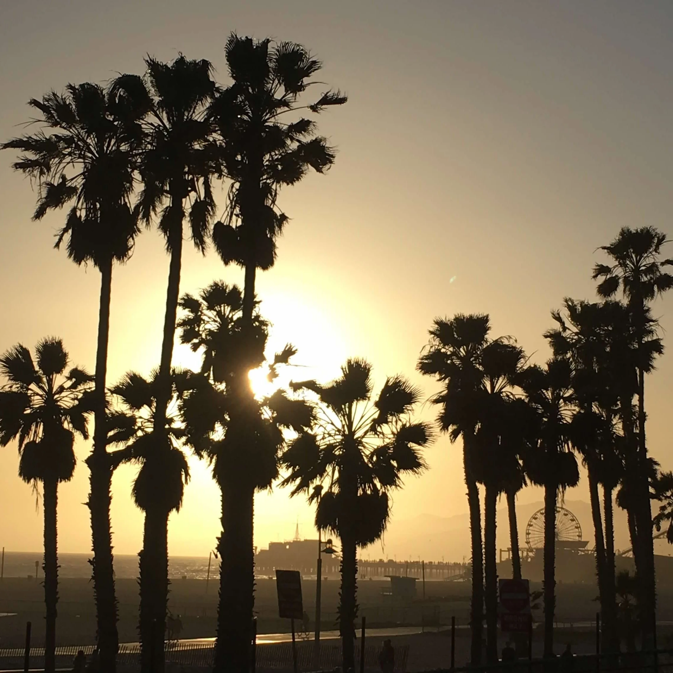 A guide to solo traveling the California Coast