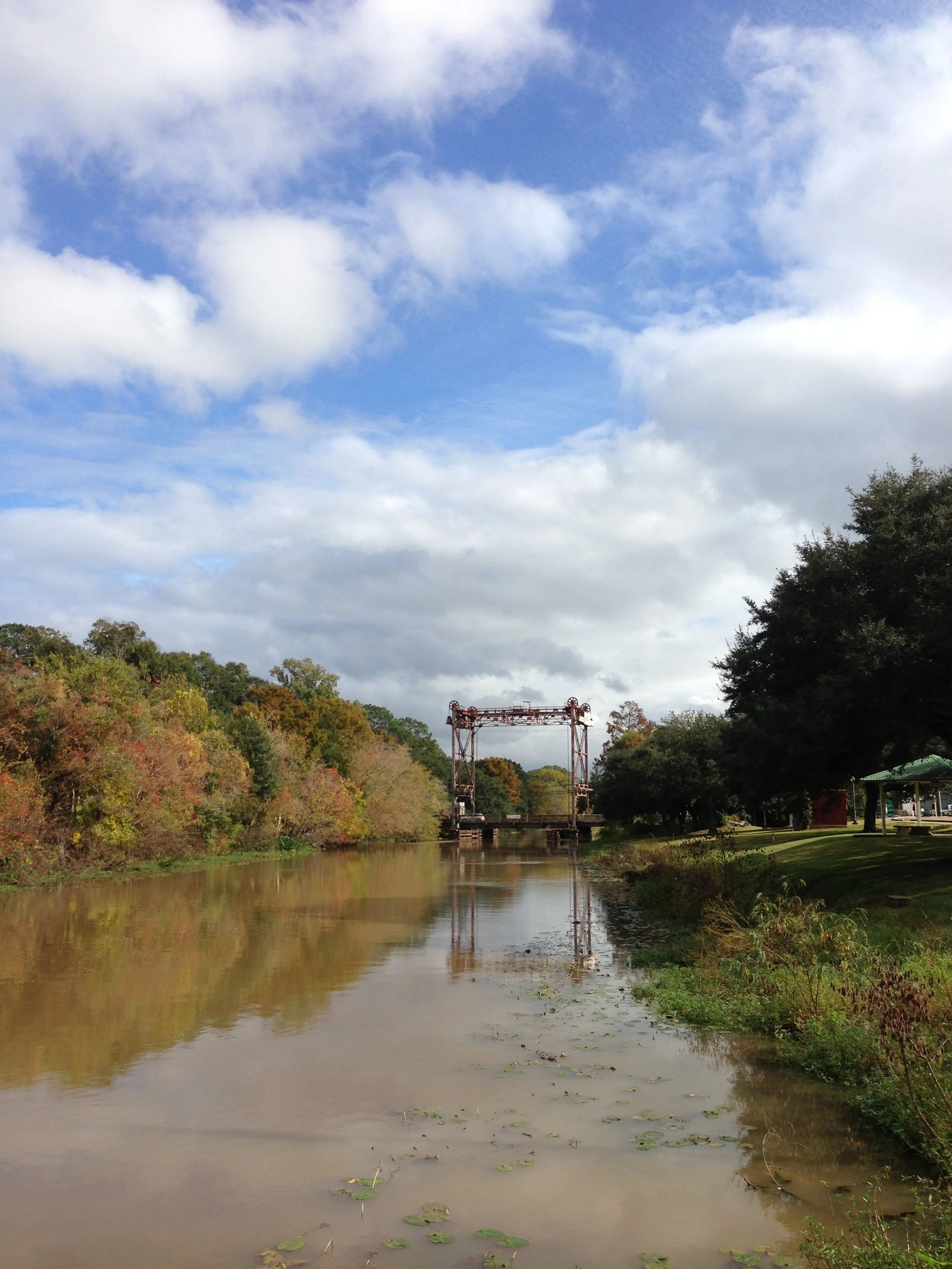 Breaux Bridge, Louisiana Photo by Robin Guidry