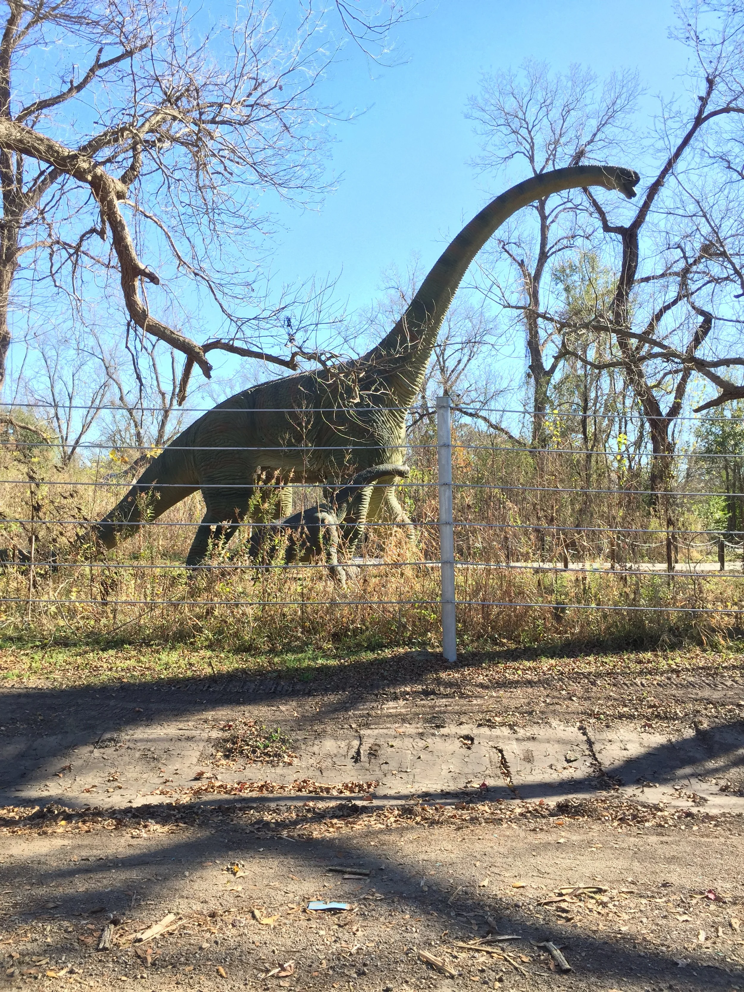 Breaux Bridge, Louisiana Photo by Robin Guidry