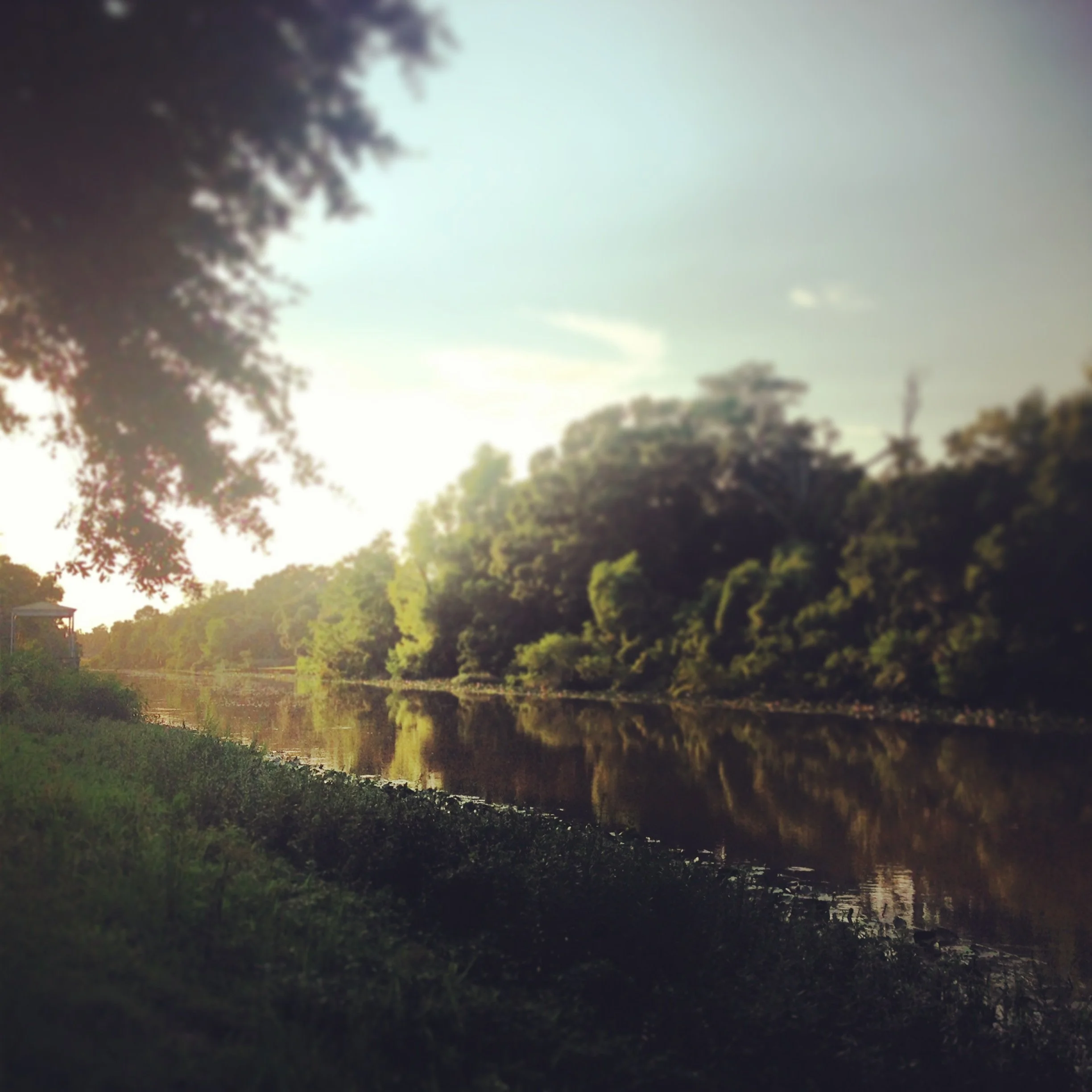 Breaux Bridge, Louisiana Photo by Robin Guidry