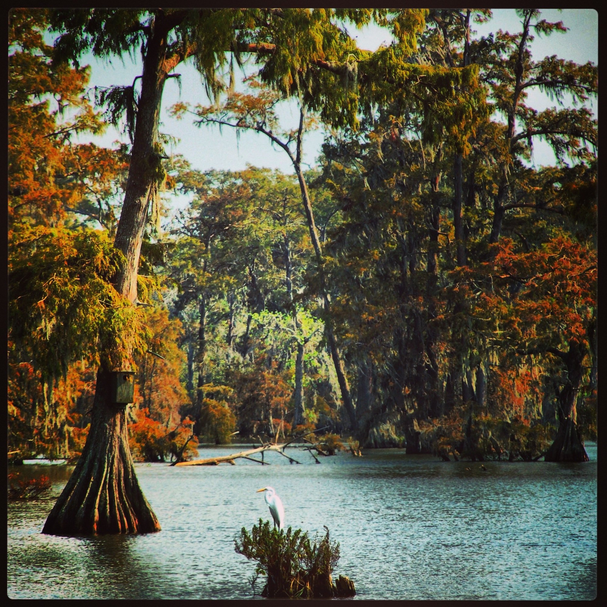 Breaux Bridge, Louisiana Photo by Robin Guidry, Lake Martin
