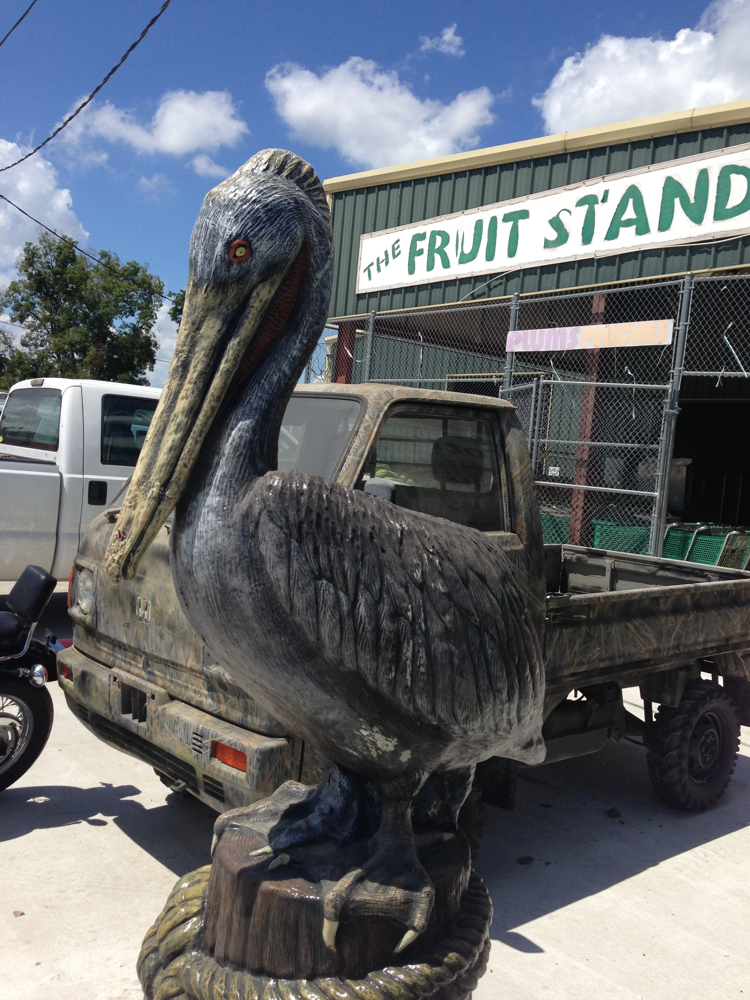 Breaux Bridge, Louisiana Photo by Robin Guidry