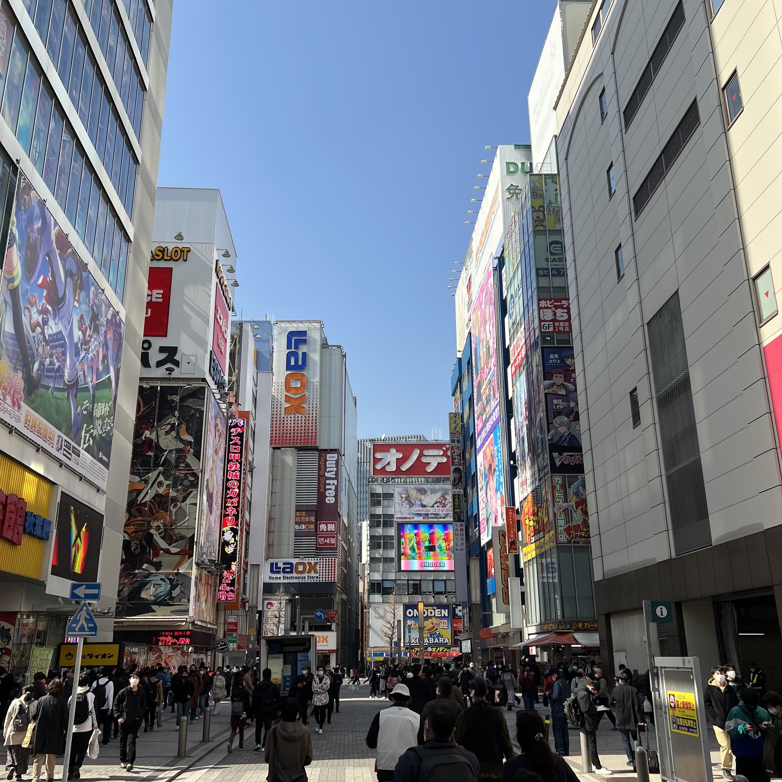 Akiba Shopping.jpg