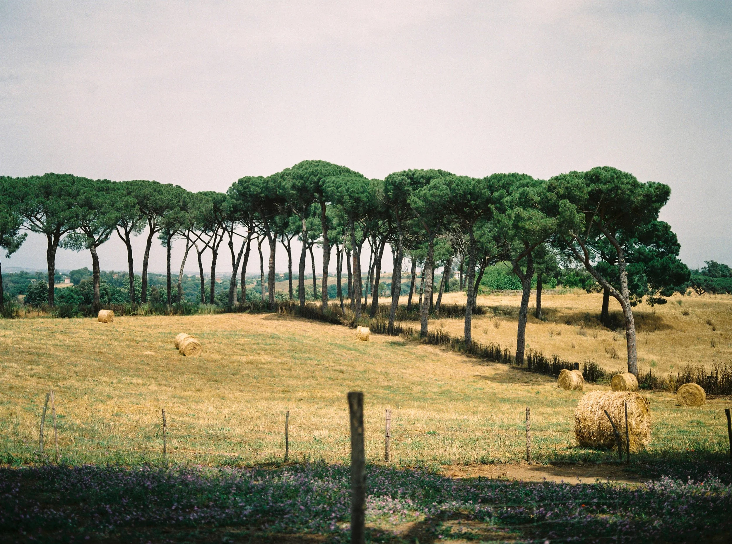 wedding-brunch-casale-del-pino-roma 0054.jpg