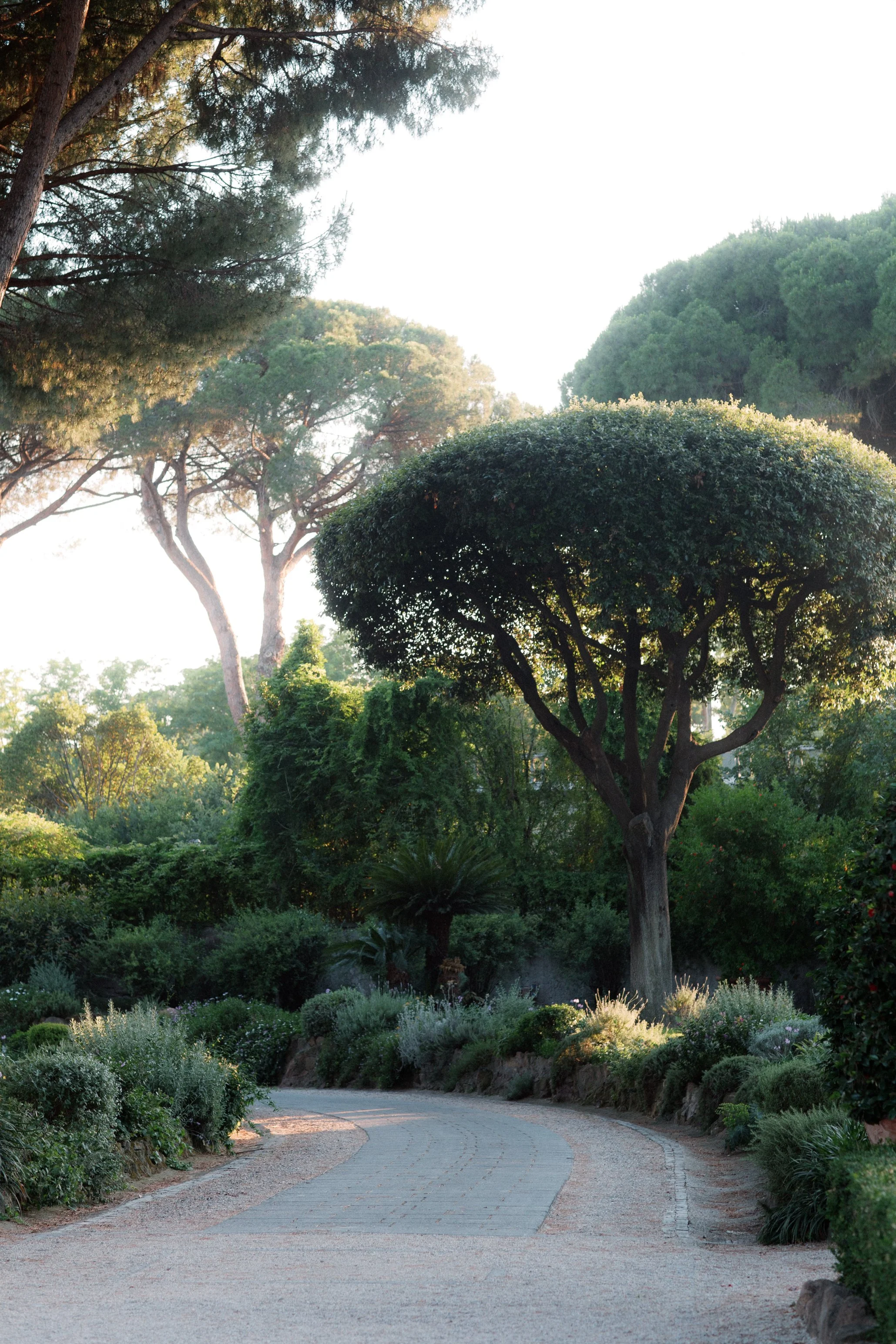 wedding-ketubah-villa-aurelia-roma 0133.jpg