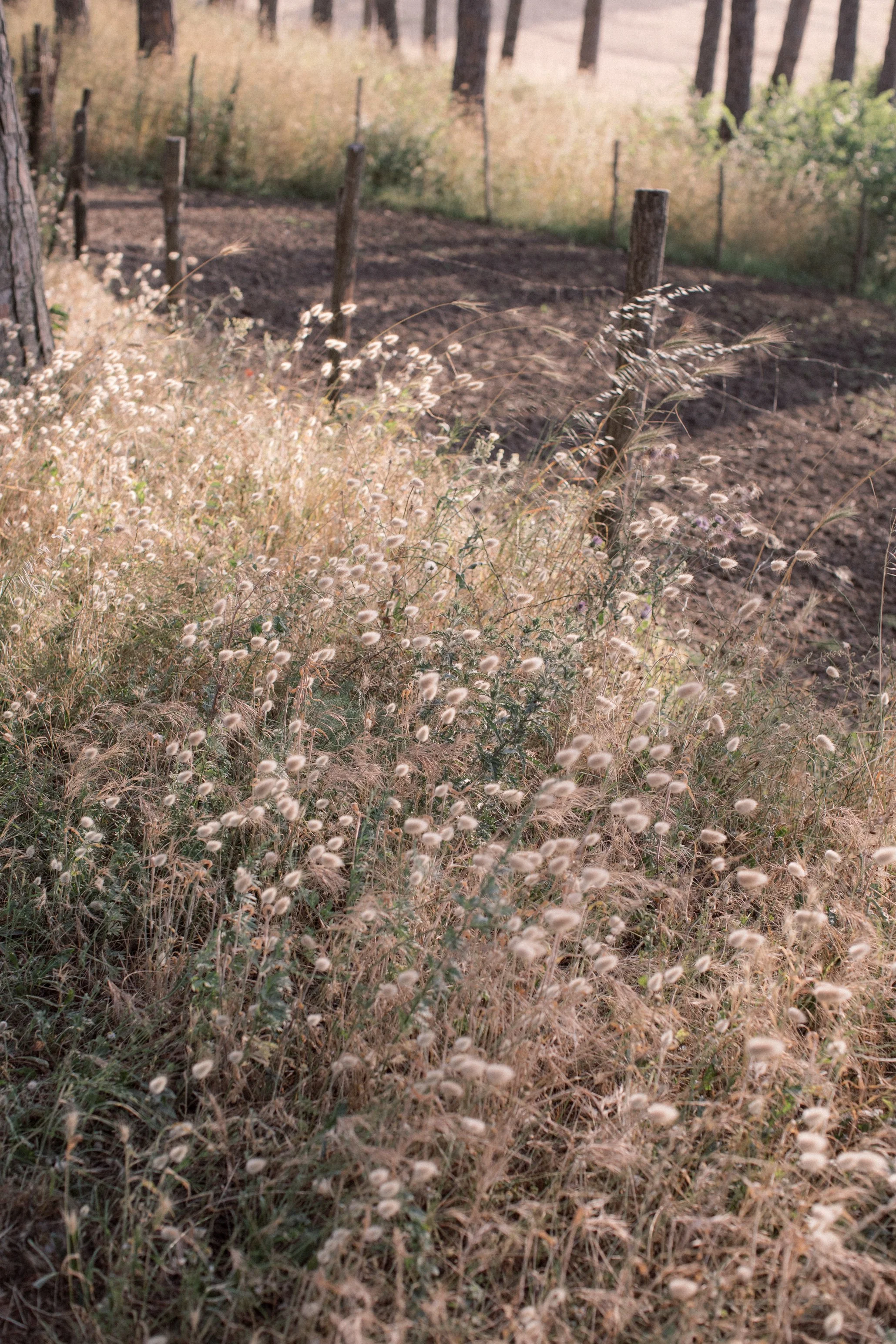 wedding-brunch-casale-del-pino-roma 0093.jpg