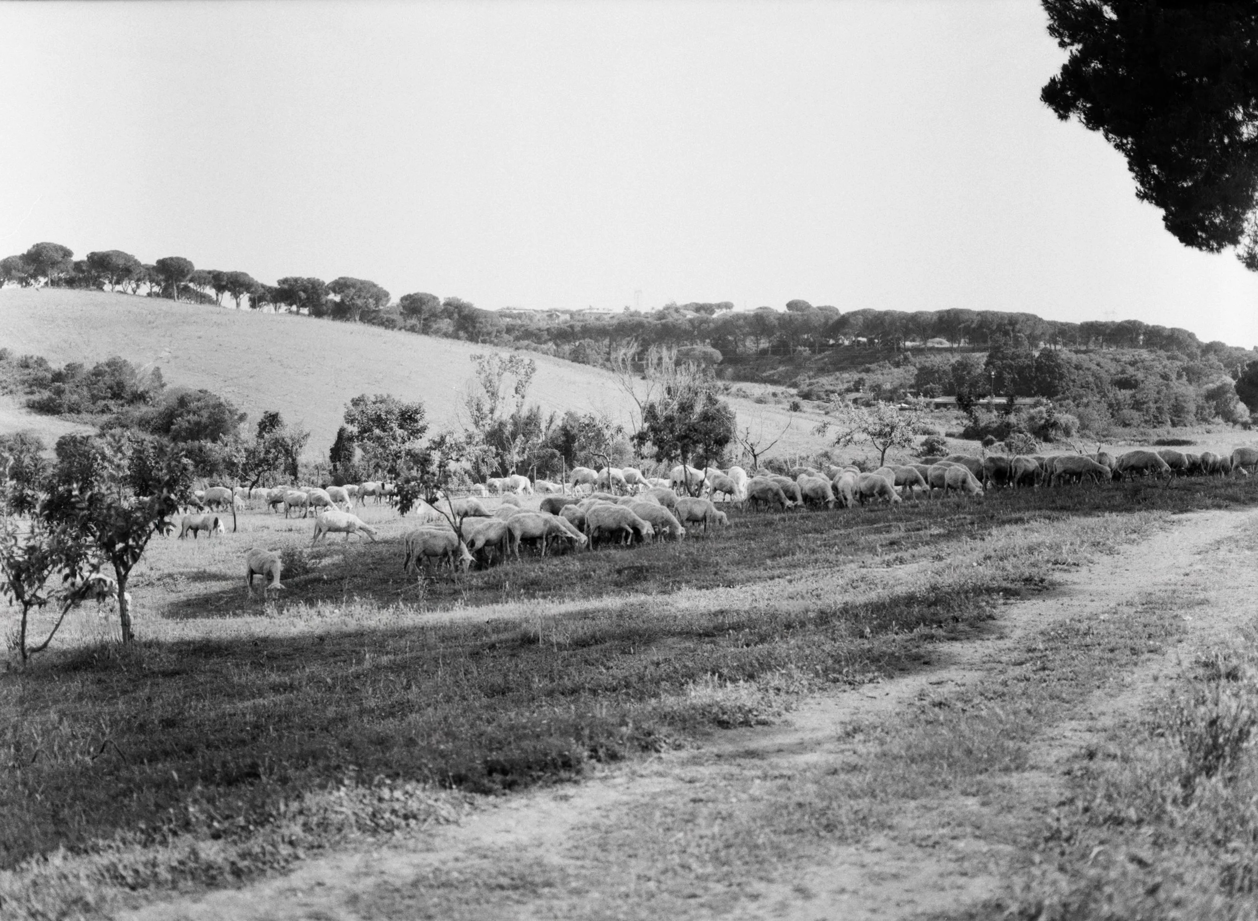 wedding-brunch-casale-del-pino-roma 0006.jpg