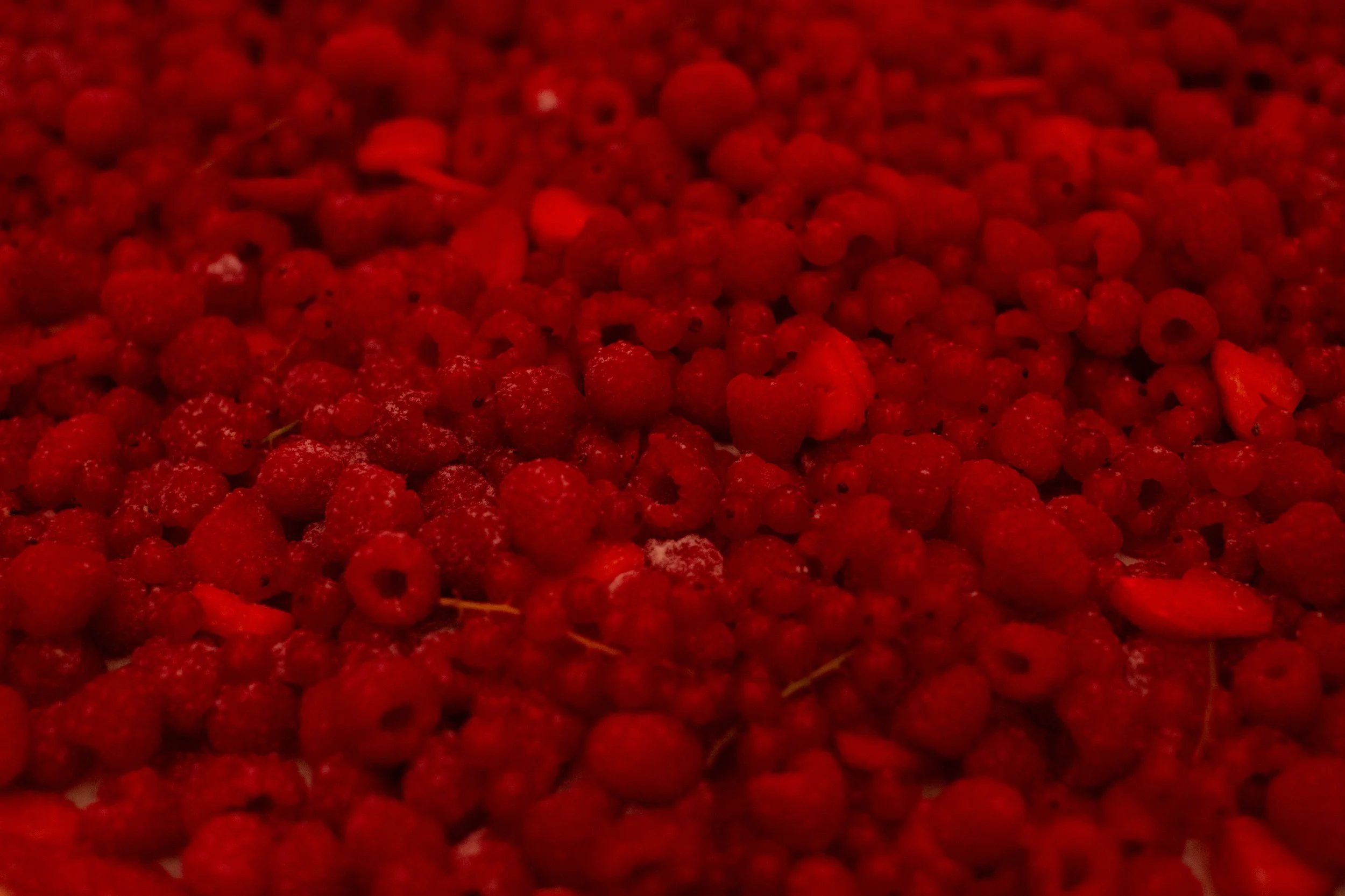 palazzo-corsini-wedding-florence-tuscany 0212.jpg