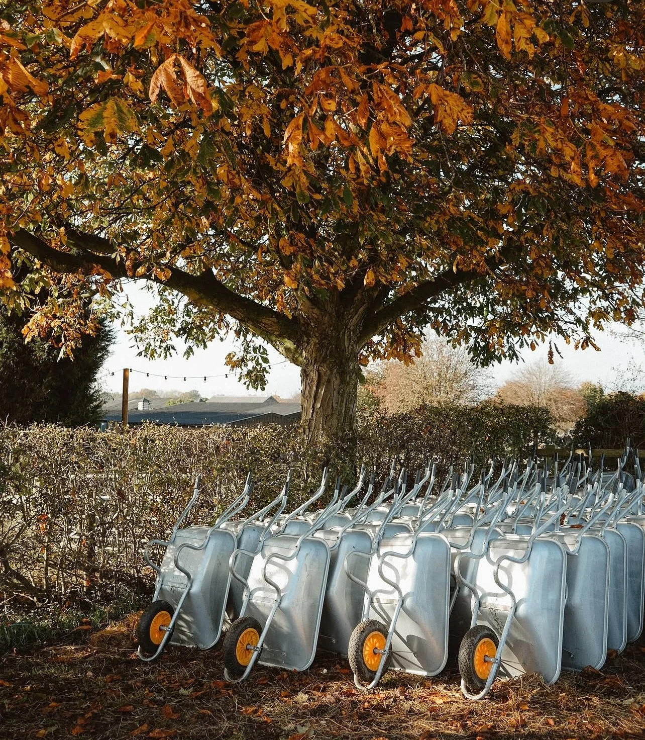 Cosy season throwbacks to 2024 🎃🧡🍁