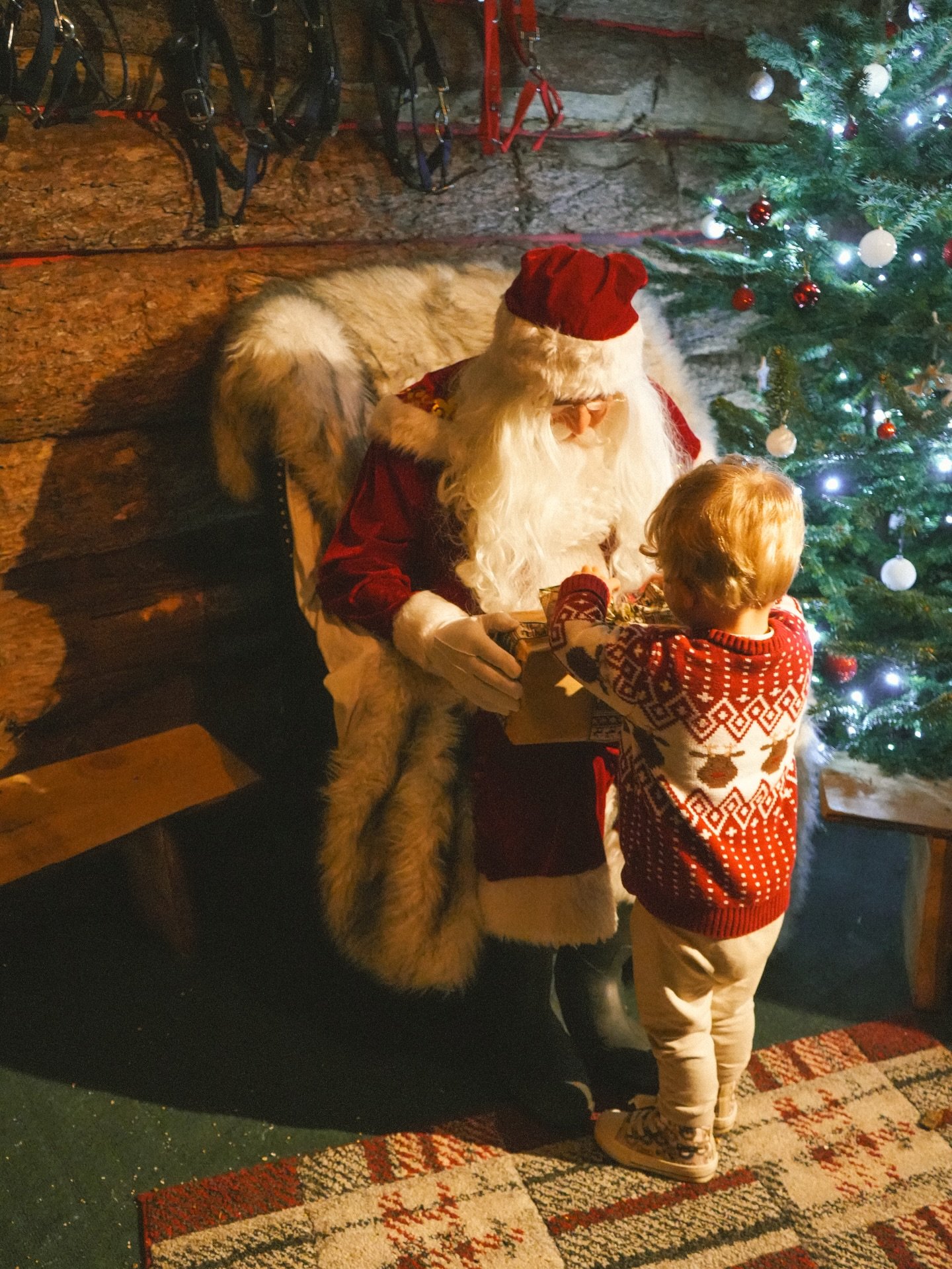 Adventure Farm 🥰🎄&hearts;️