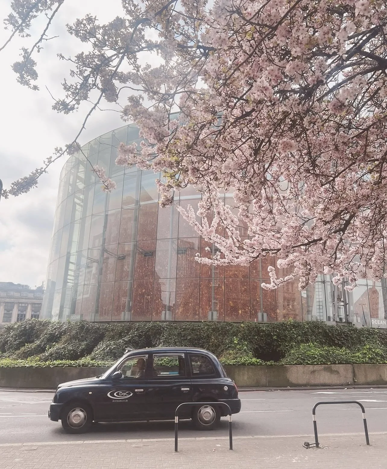 📌 Pinned on my March Moodboard