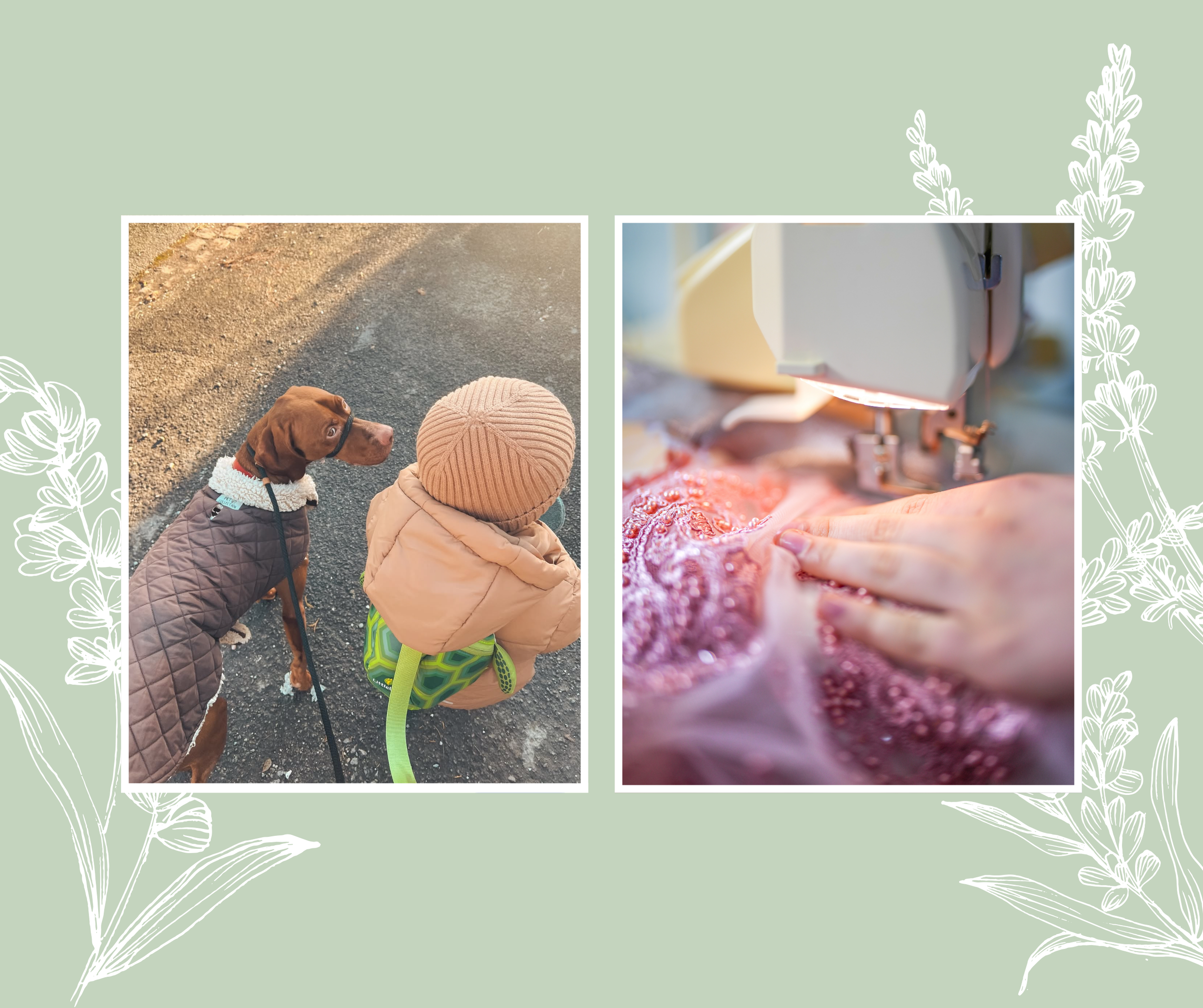 Coming Out of Hibernation