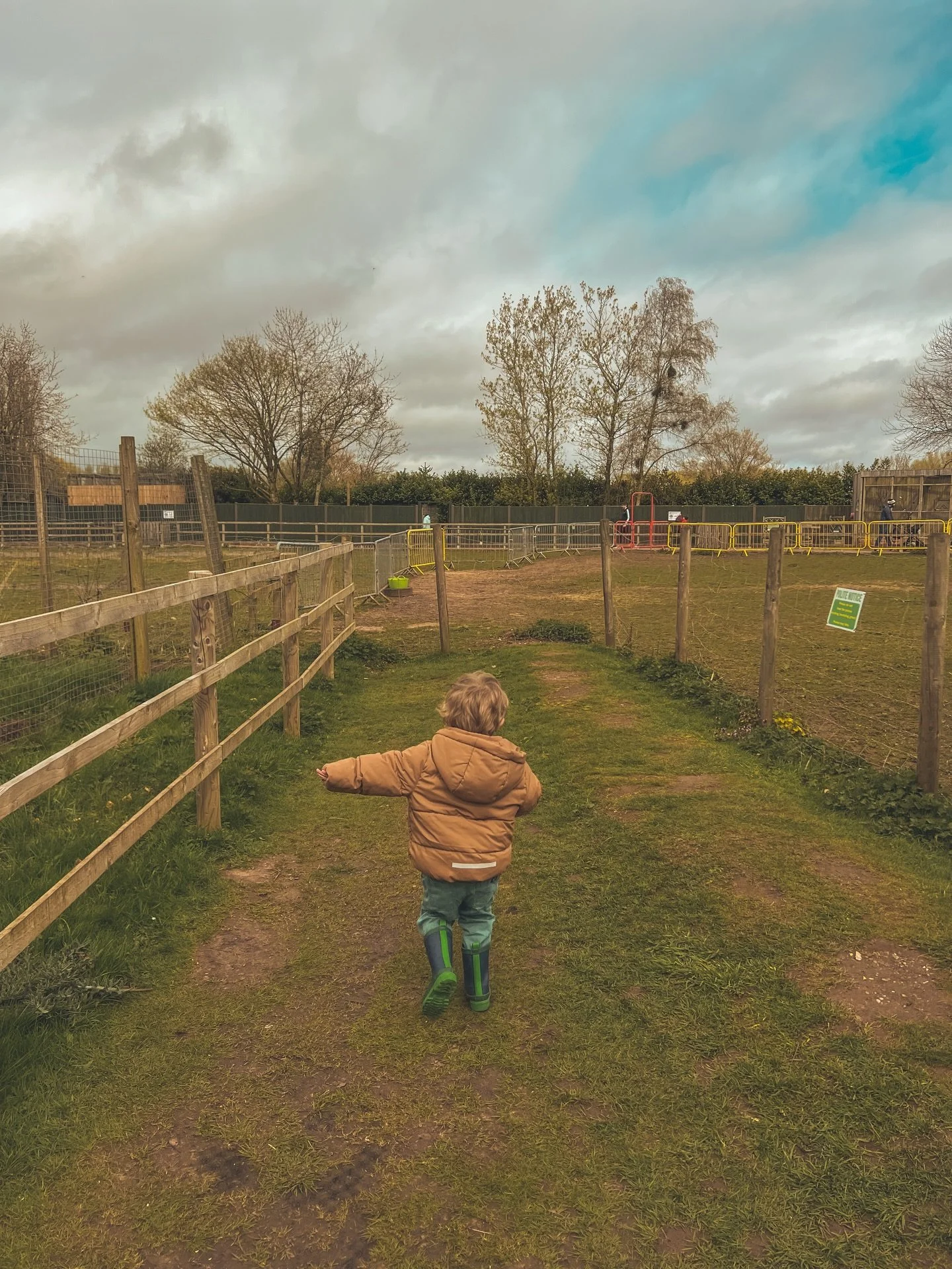 Sunday Slice 🍰&hearts;️