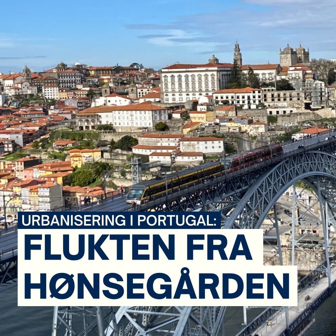 🌇 Siden 1960 har Portugal underg&aring;tt en tydelig urbaniseringsprosess

🇵🇹 @liina.jpg skriver om effekten av &oslash;kt innflytting til byene p&aring; kort og lang sikt

📎 Lenke i bio!