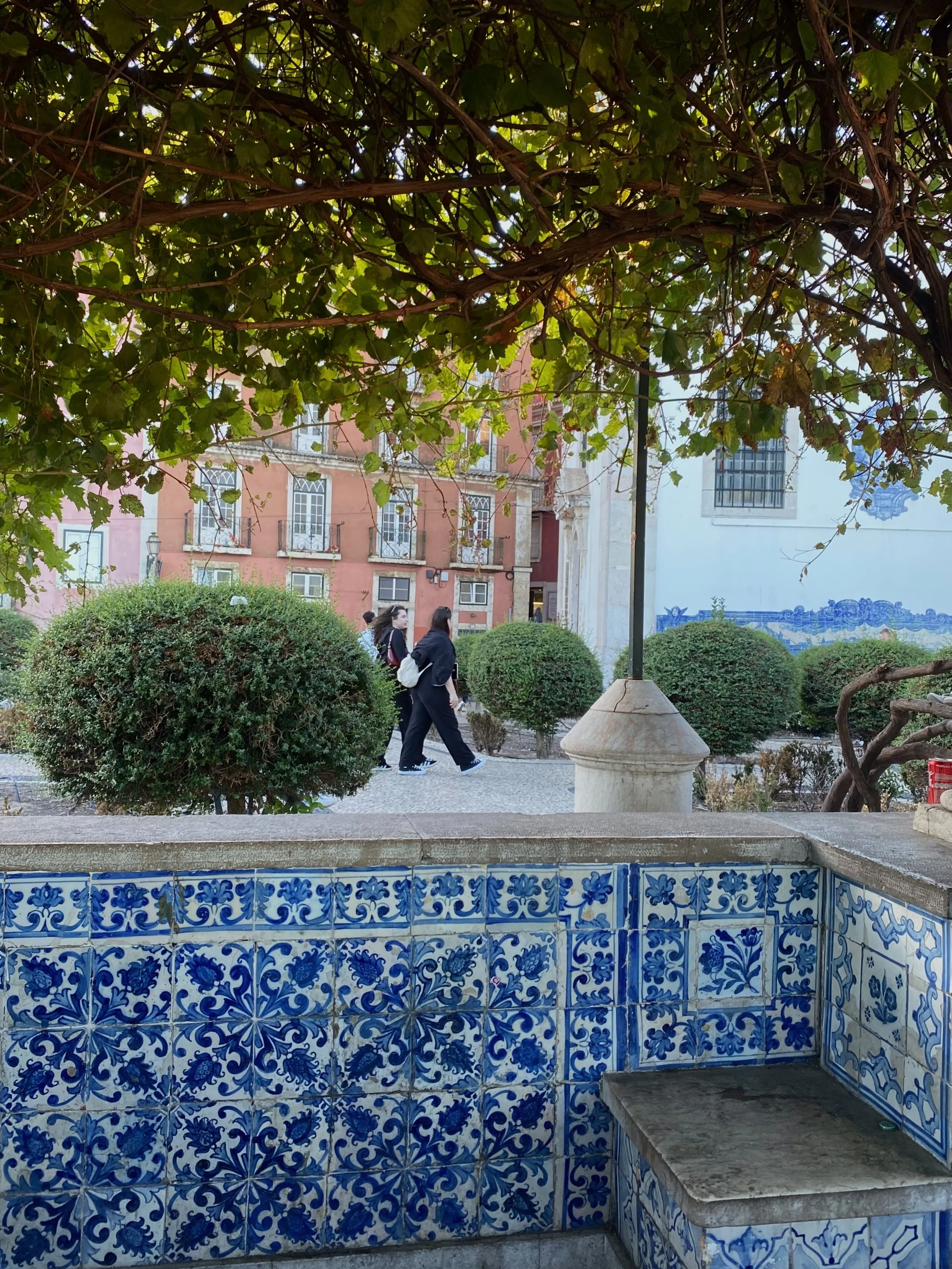 FullSizeRender_VSCO 6.JPG