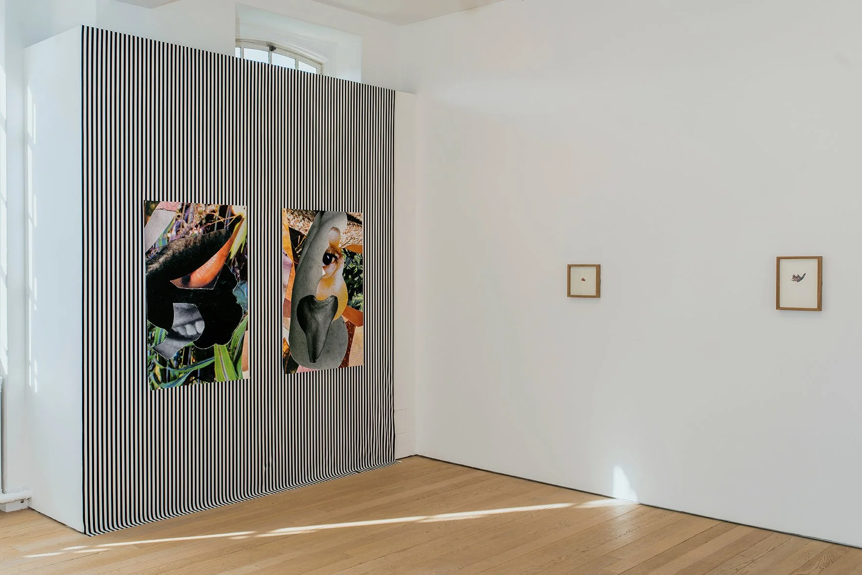 Phoenix Gallery, Exeter, 2020