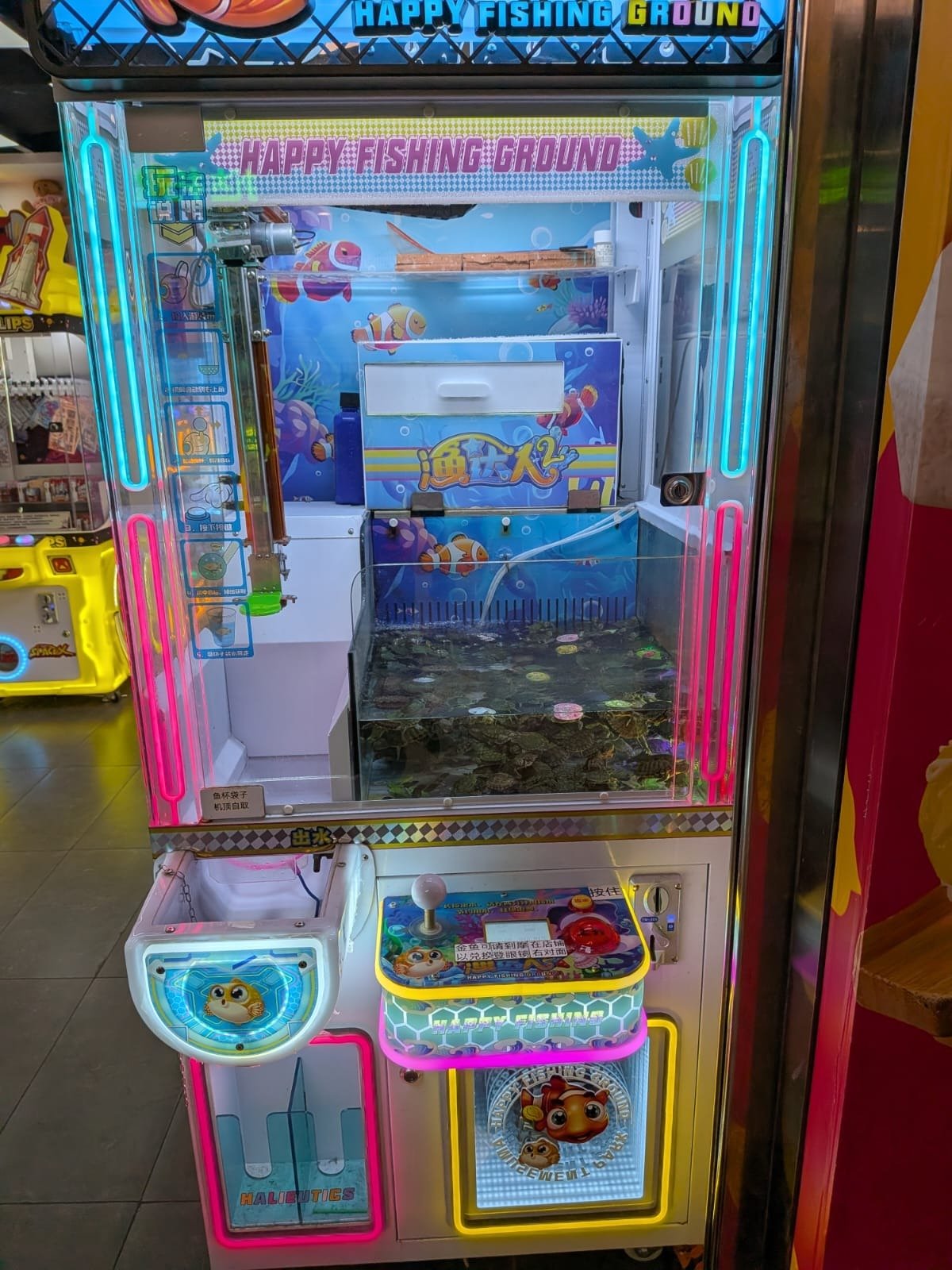 Turtles in an arcade.jpeg