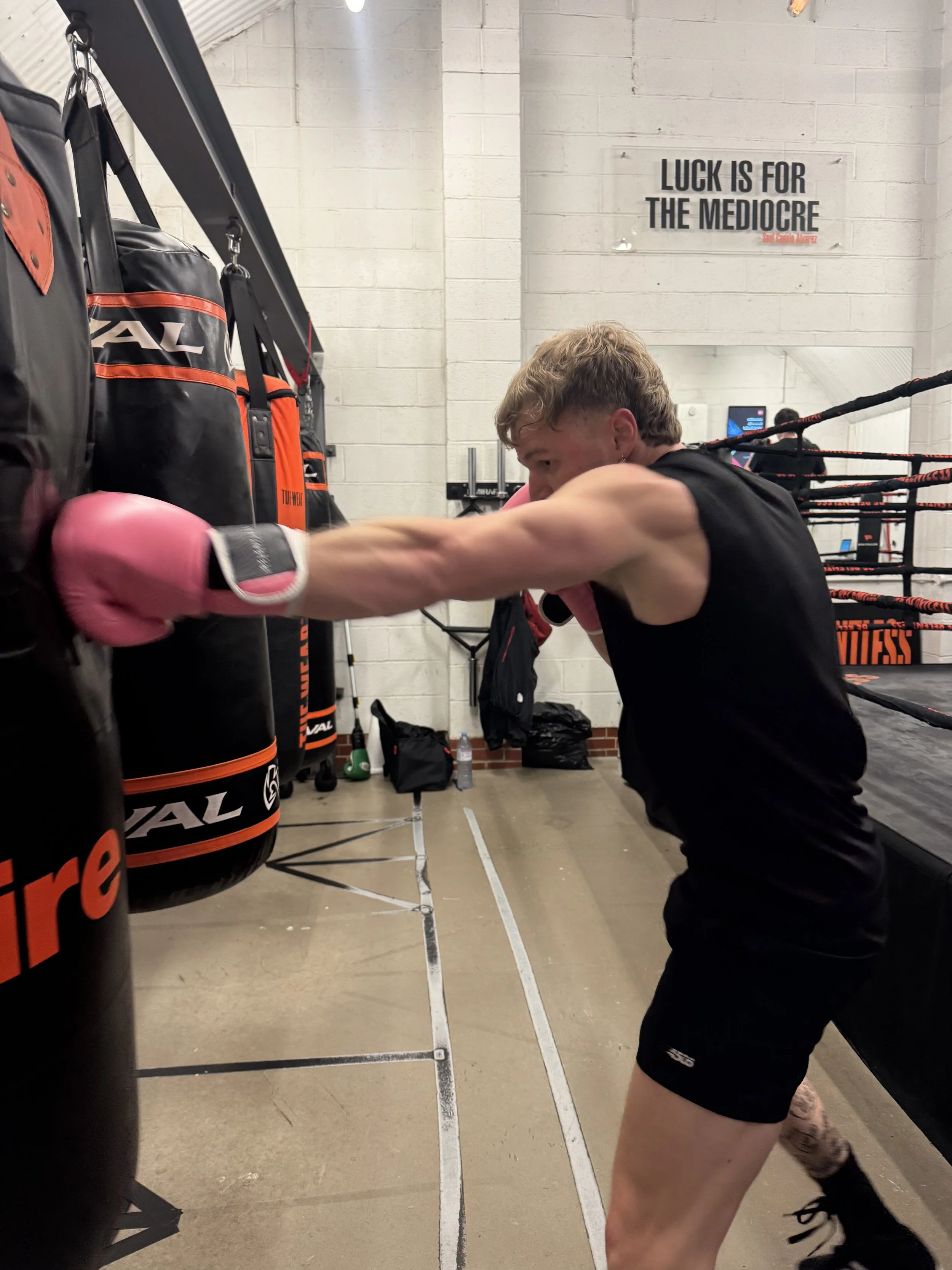 A boxer wearing black shorts and pink boxing gloves training in a boxing gym, punching a hanging black punching bag with the brand name 'Everlast' visible on it.