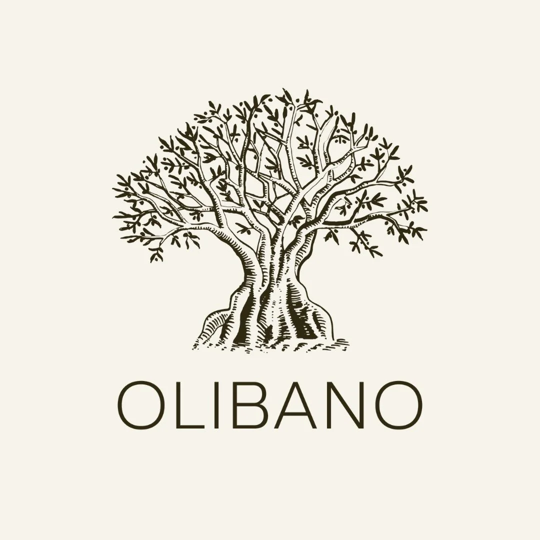 WhatsApp Image 2024-02-19 at 9.17.24 PM.jpeg