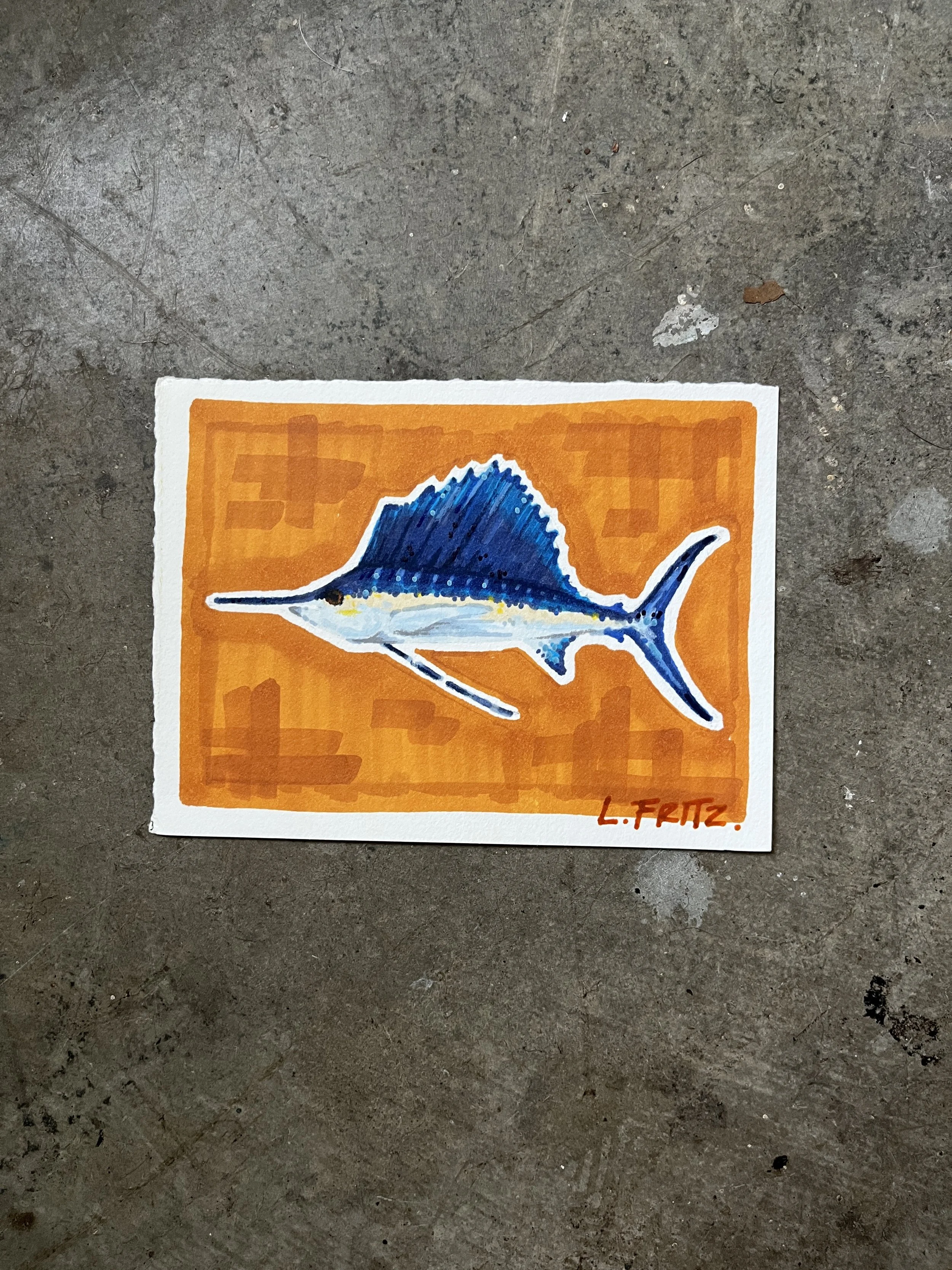 "Harold" - Sailfish