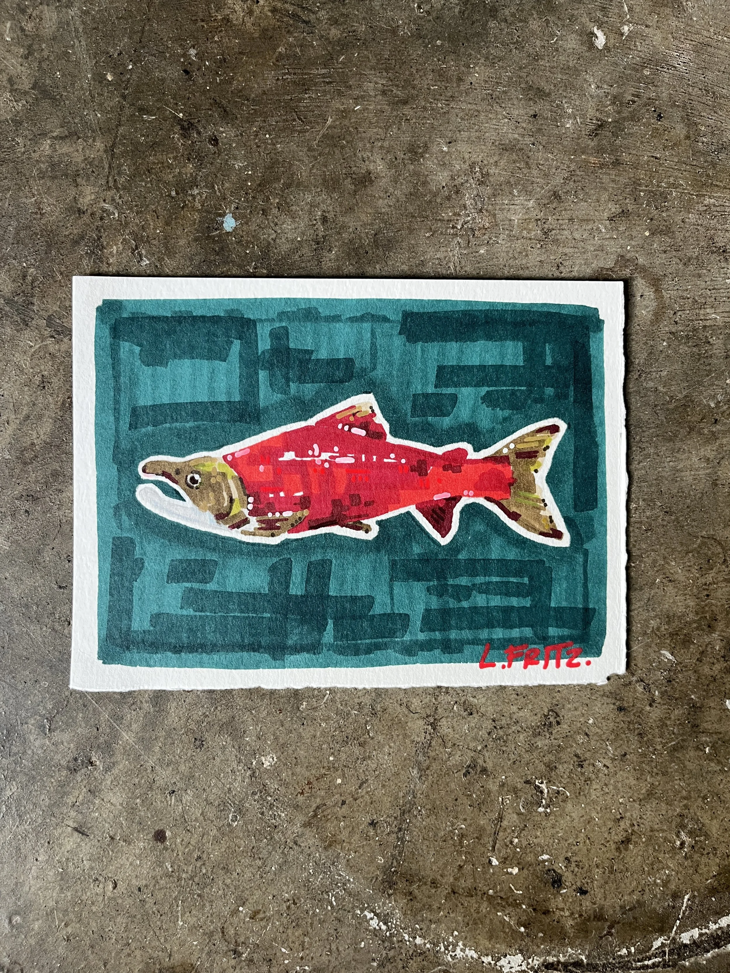 "Tulok" - Coho Salmon