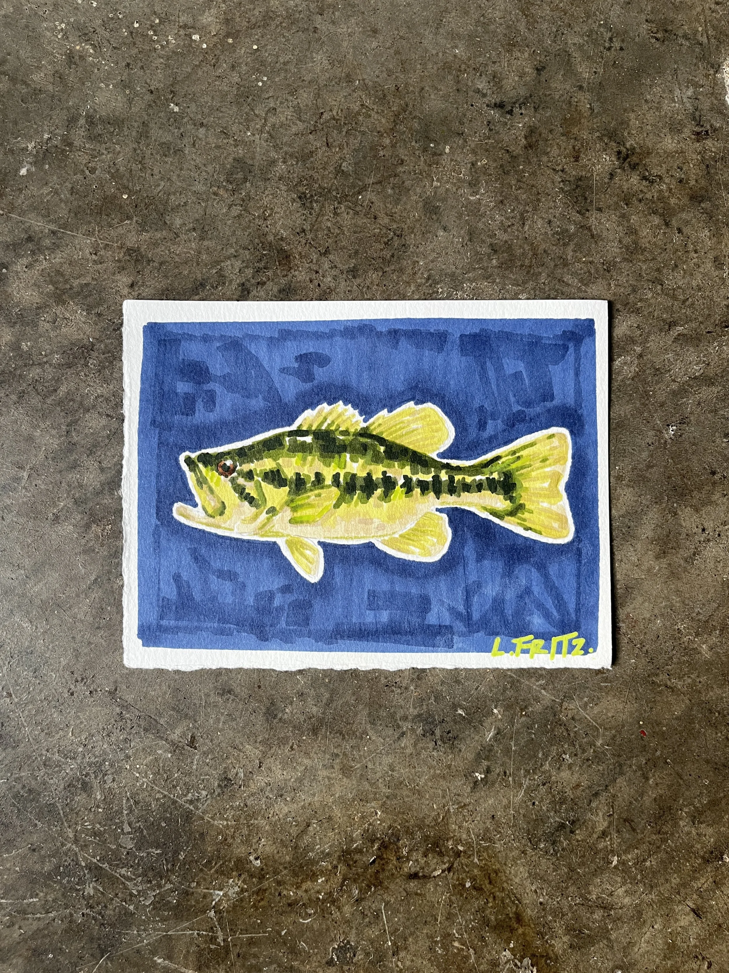 "Ralph" - Large Mouth Bass