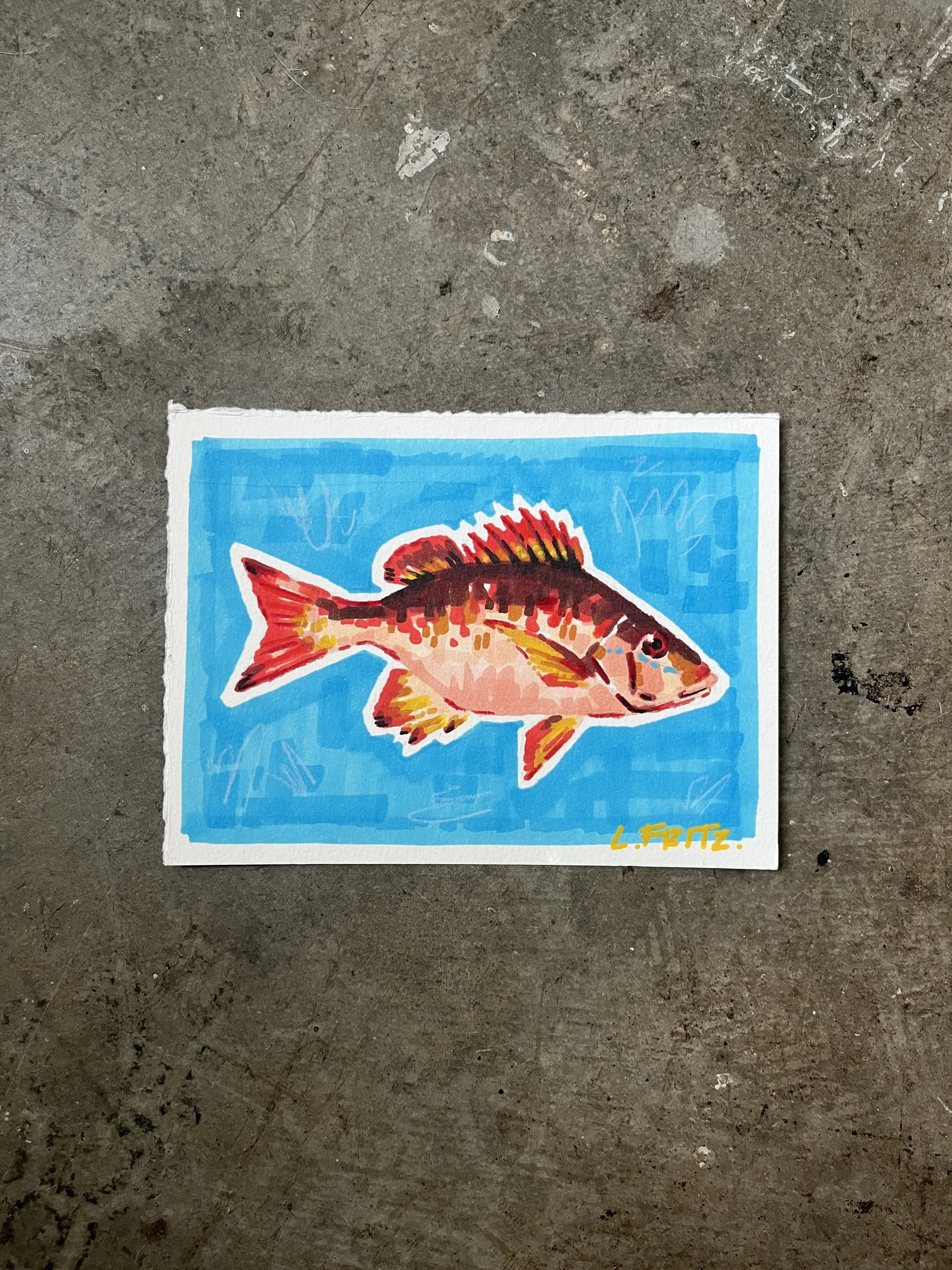 "Rusty" - Dog Snapper