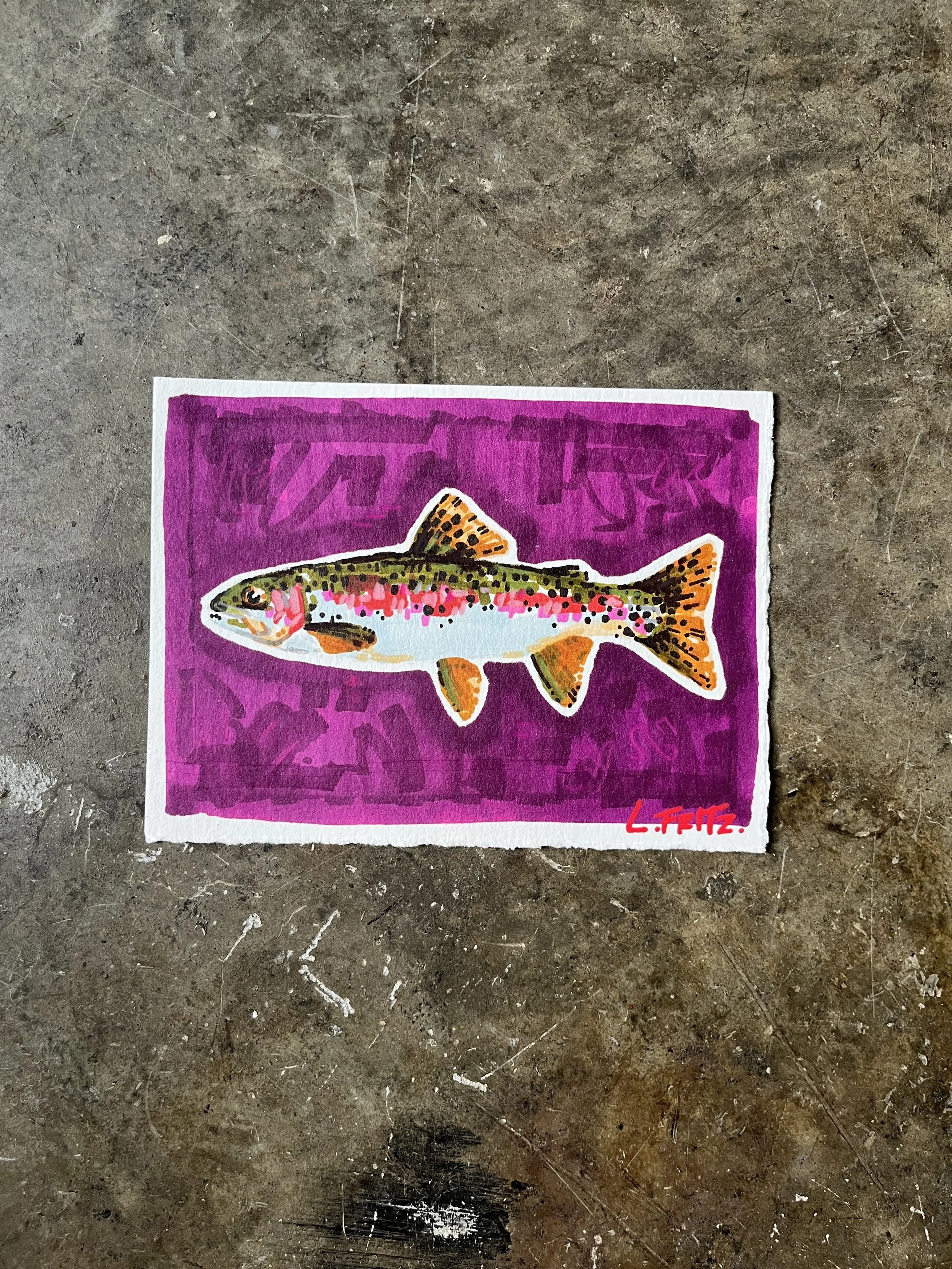 "Tex" - Rainbow Trout