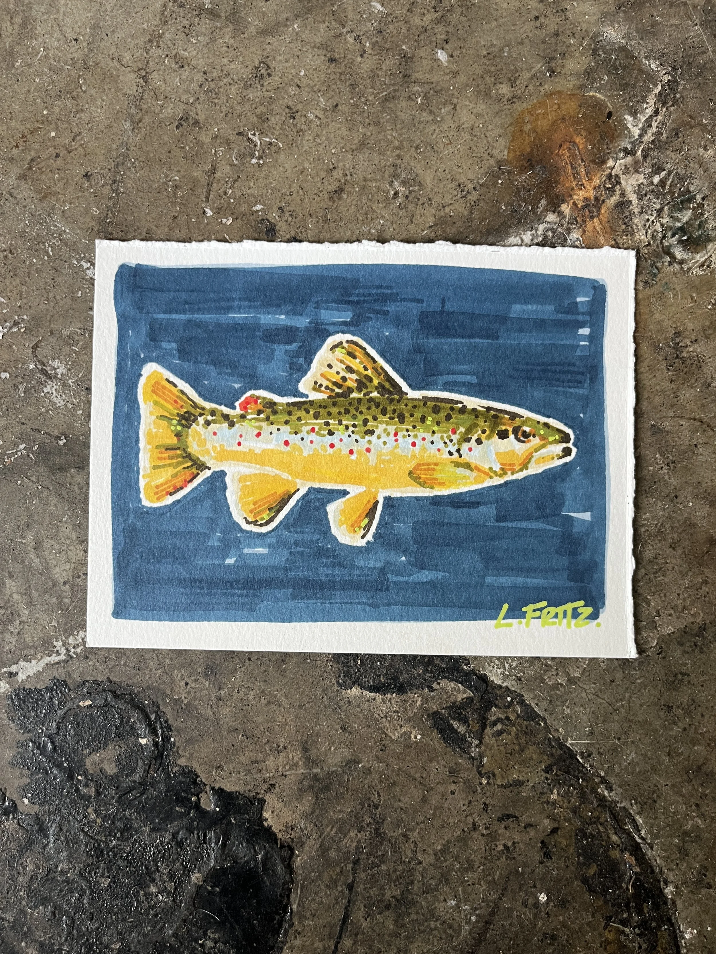 "Otis" - Brown Trout