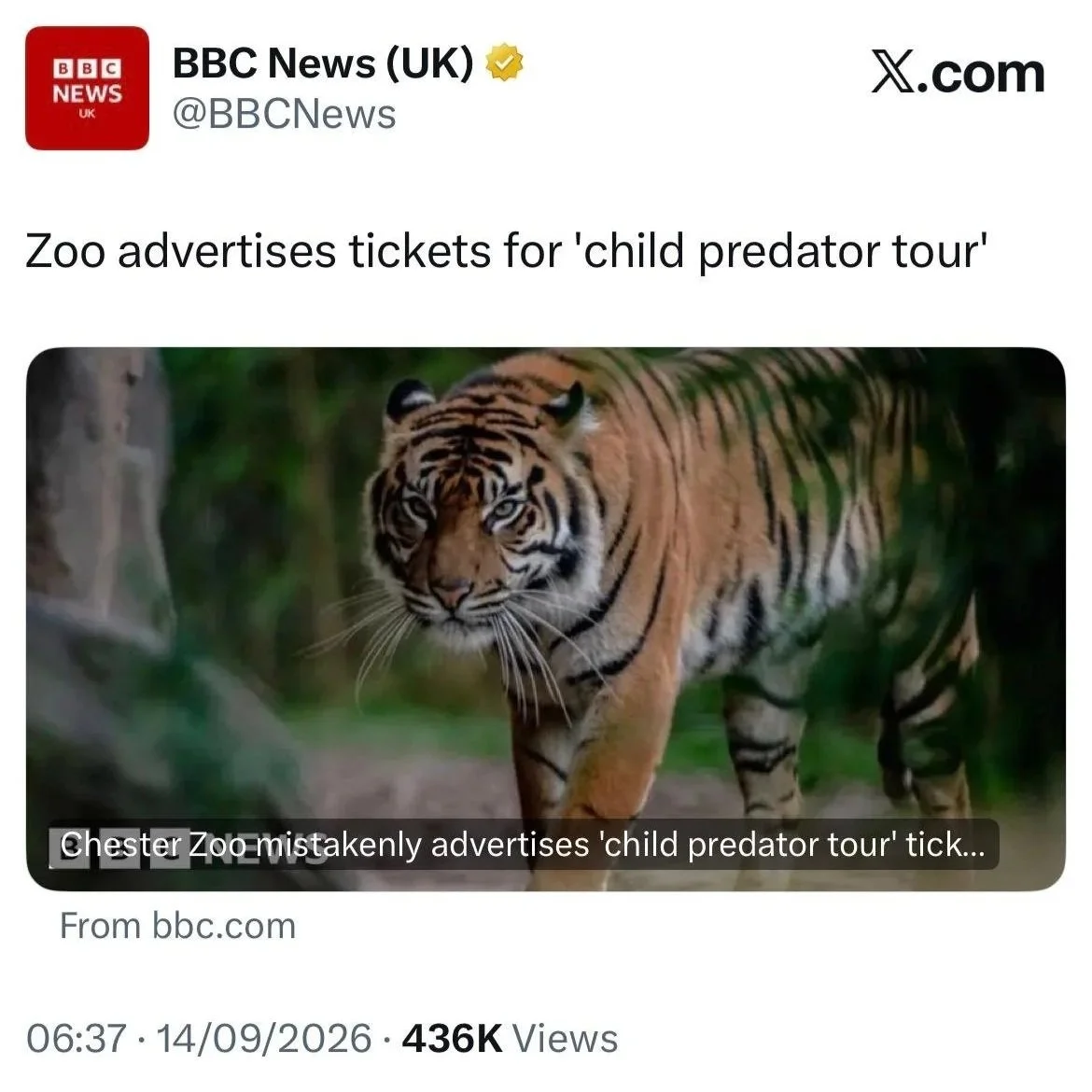 239e7f0b-9d2d-4946-84f6-00ffa9af0a77.jpg