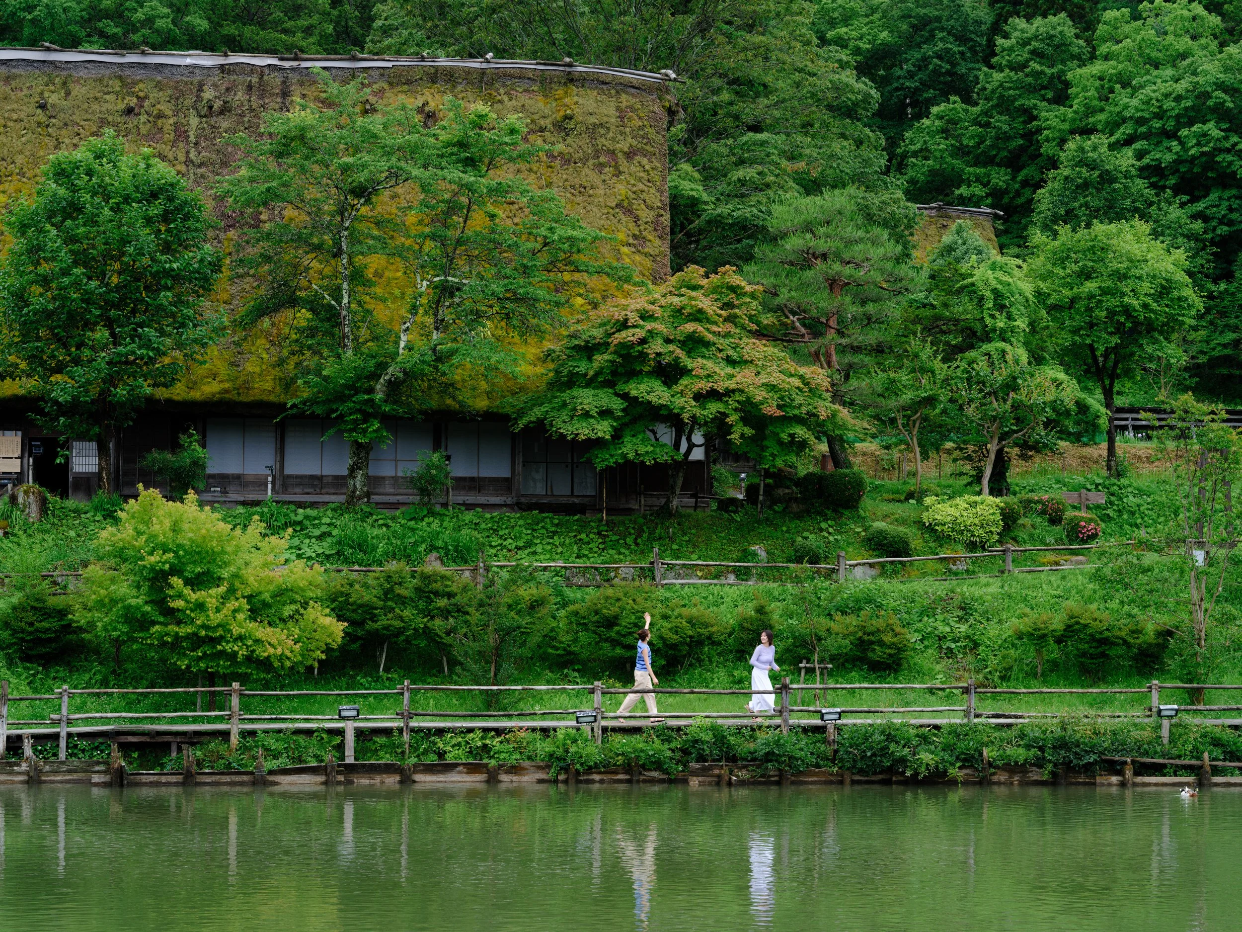 Japan National Tourism Board 2024