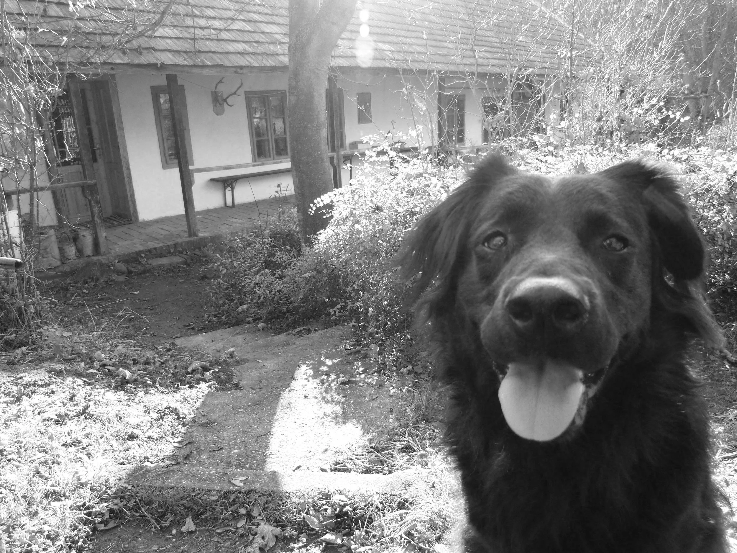 blackdesign belsőépítész iroda