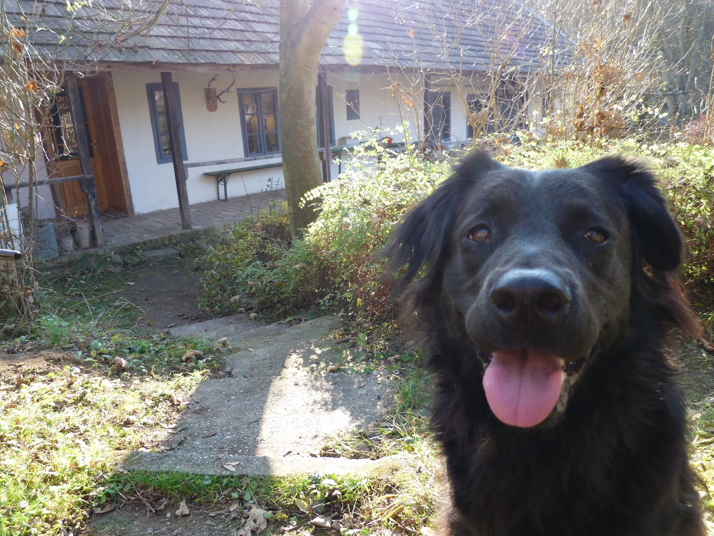 blackdesign belsőépítész iroda