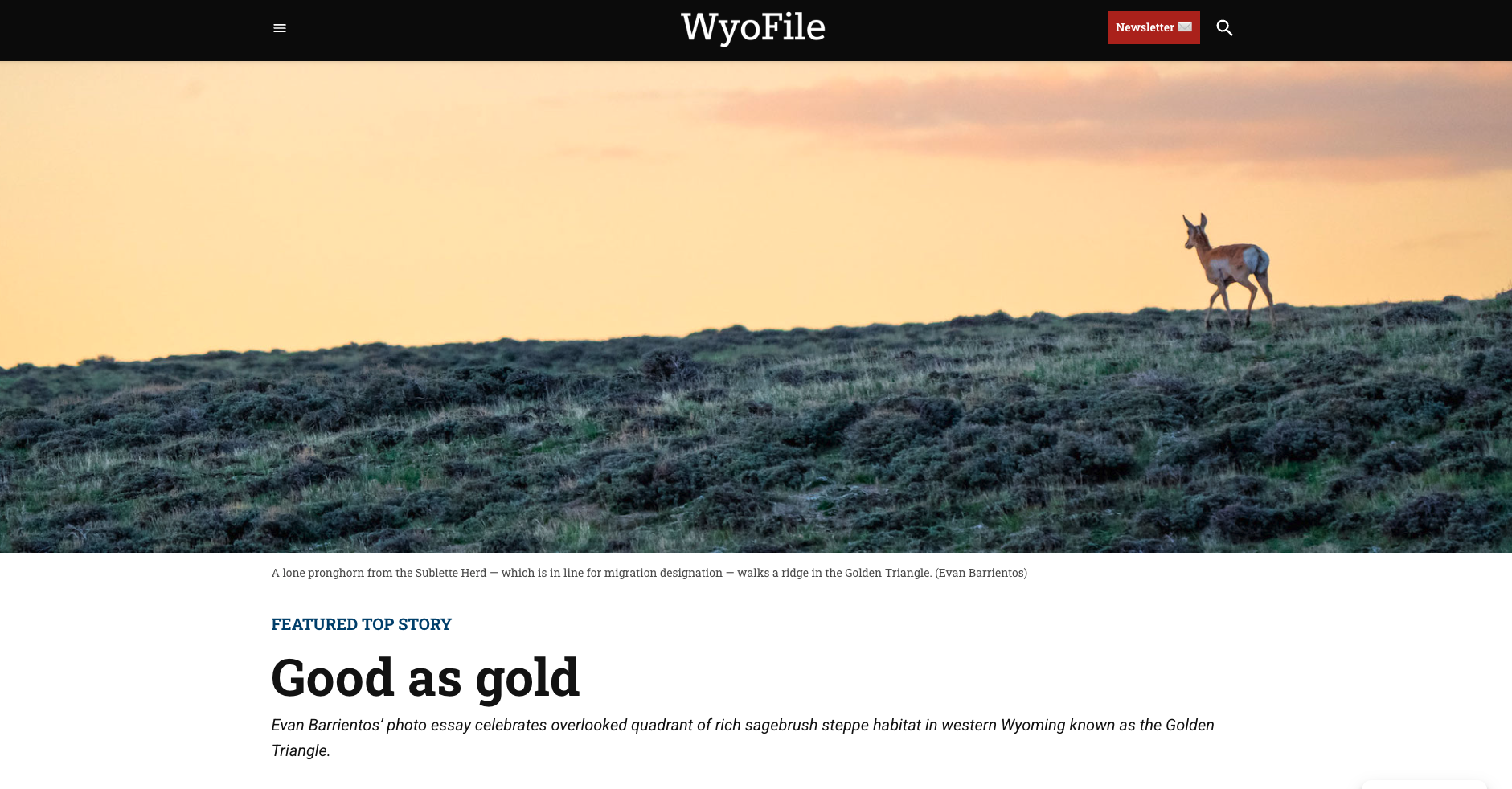 WyoFile, 2024