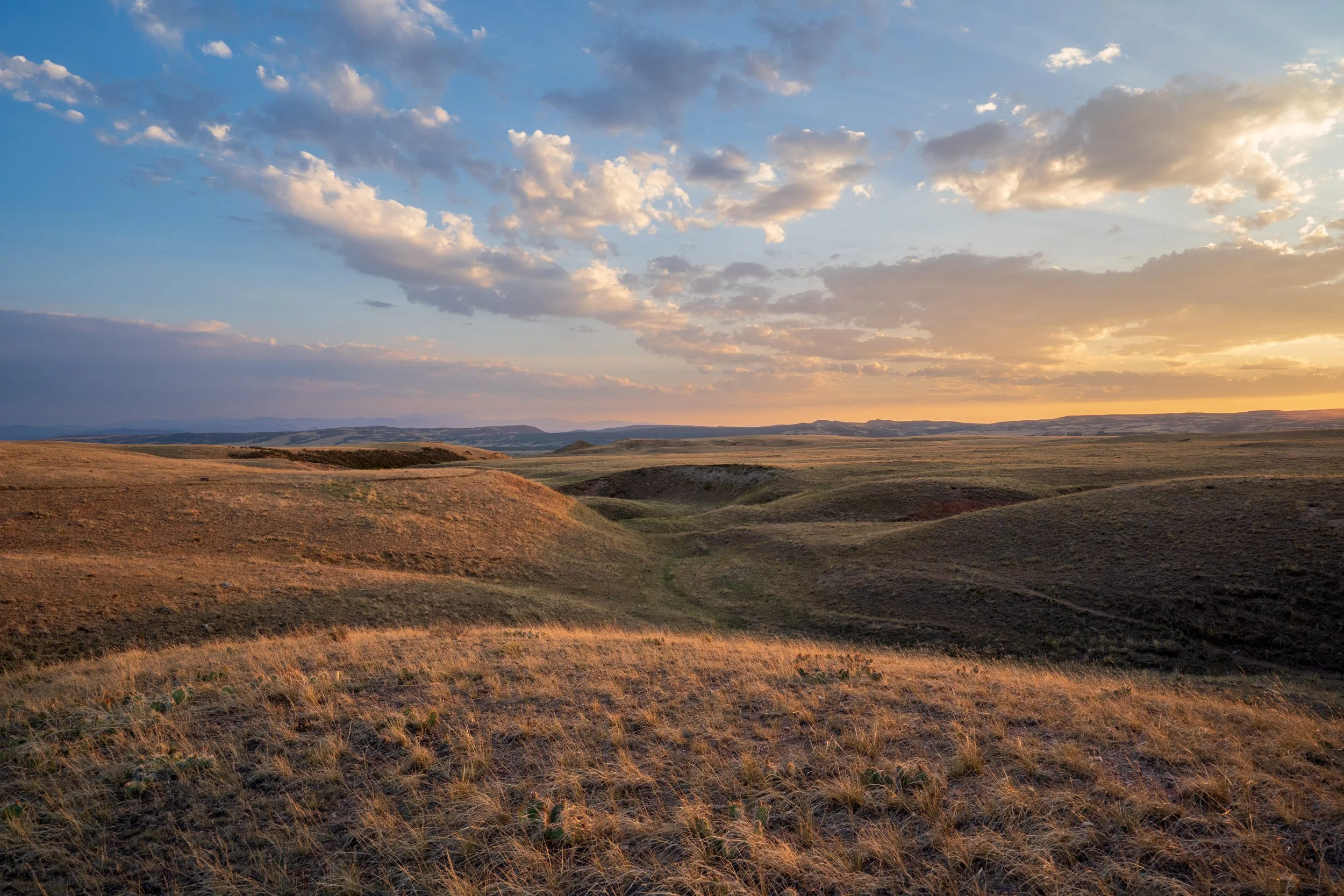 Soapstone-Prairie_20240802_0039_Evan-Barrientos_Web.JPG