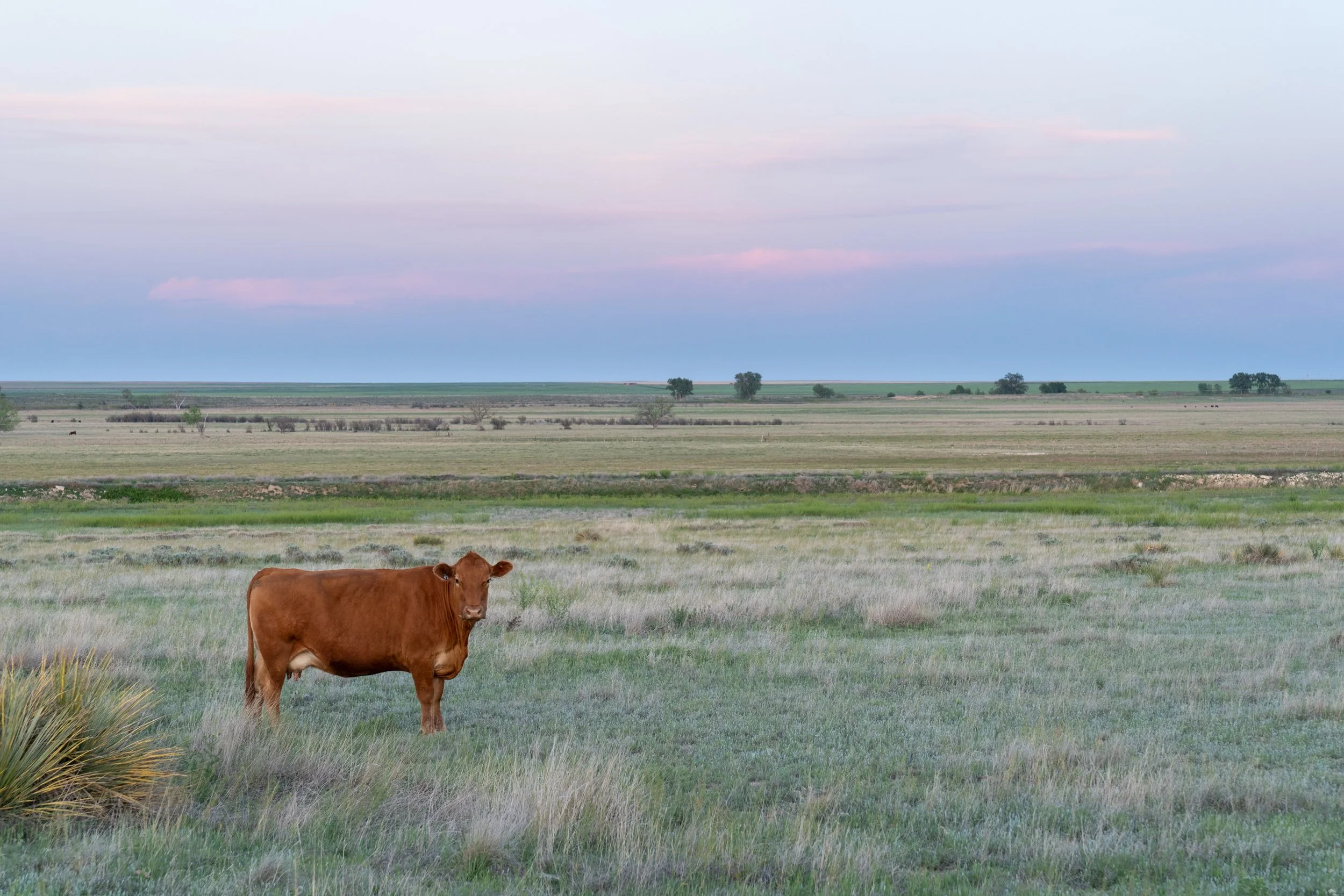 10_Aud_May-Valley-Ranch__May-2019_09537_Photo-Evan-Barrientos.JPG