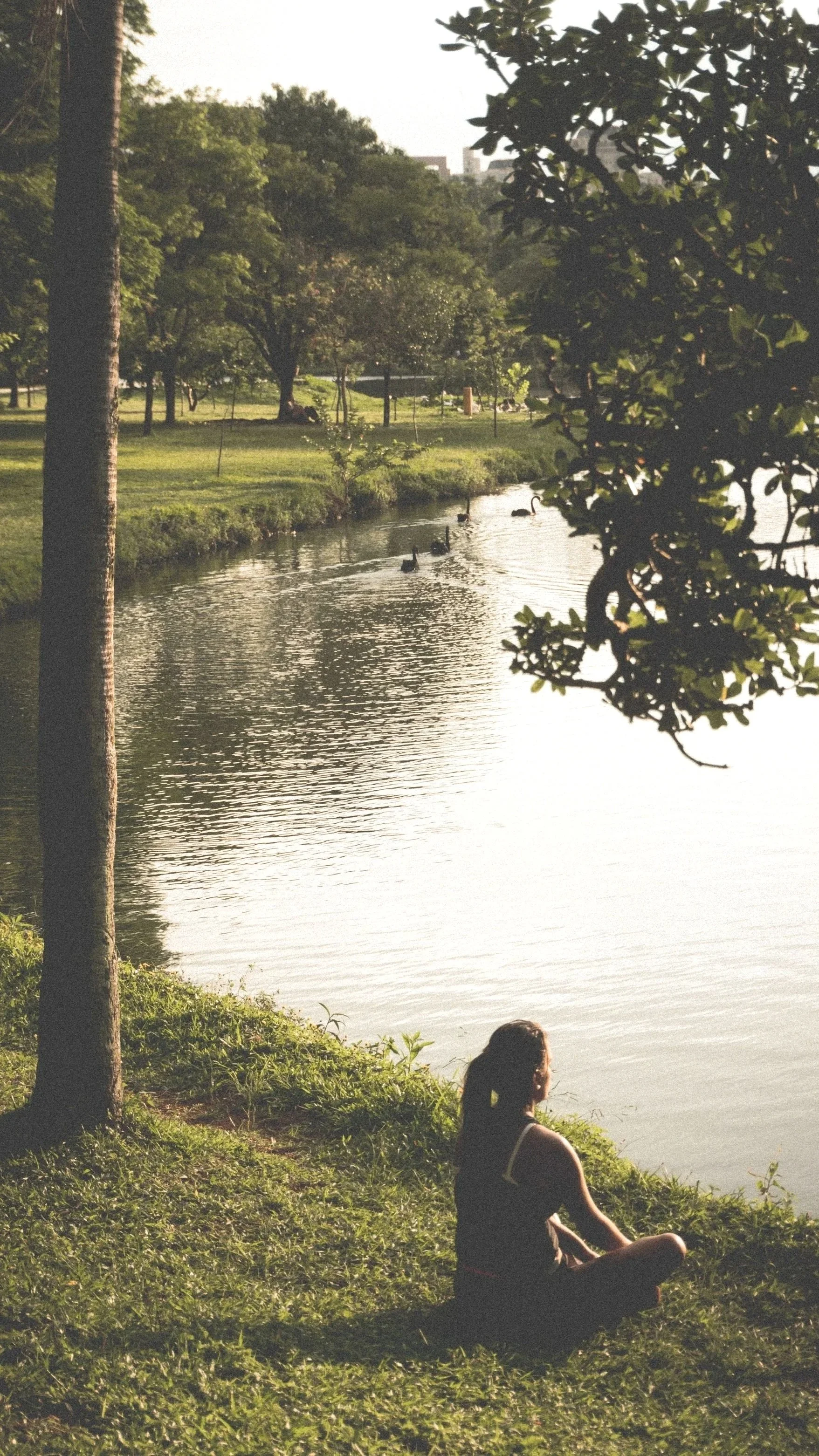 A woman sitting cross-legged on the grass near a river, with trees and ducks in the water in the background, during the late afternoon or early evening.