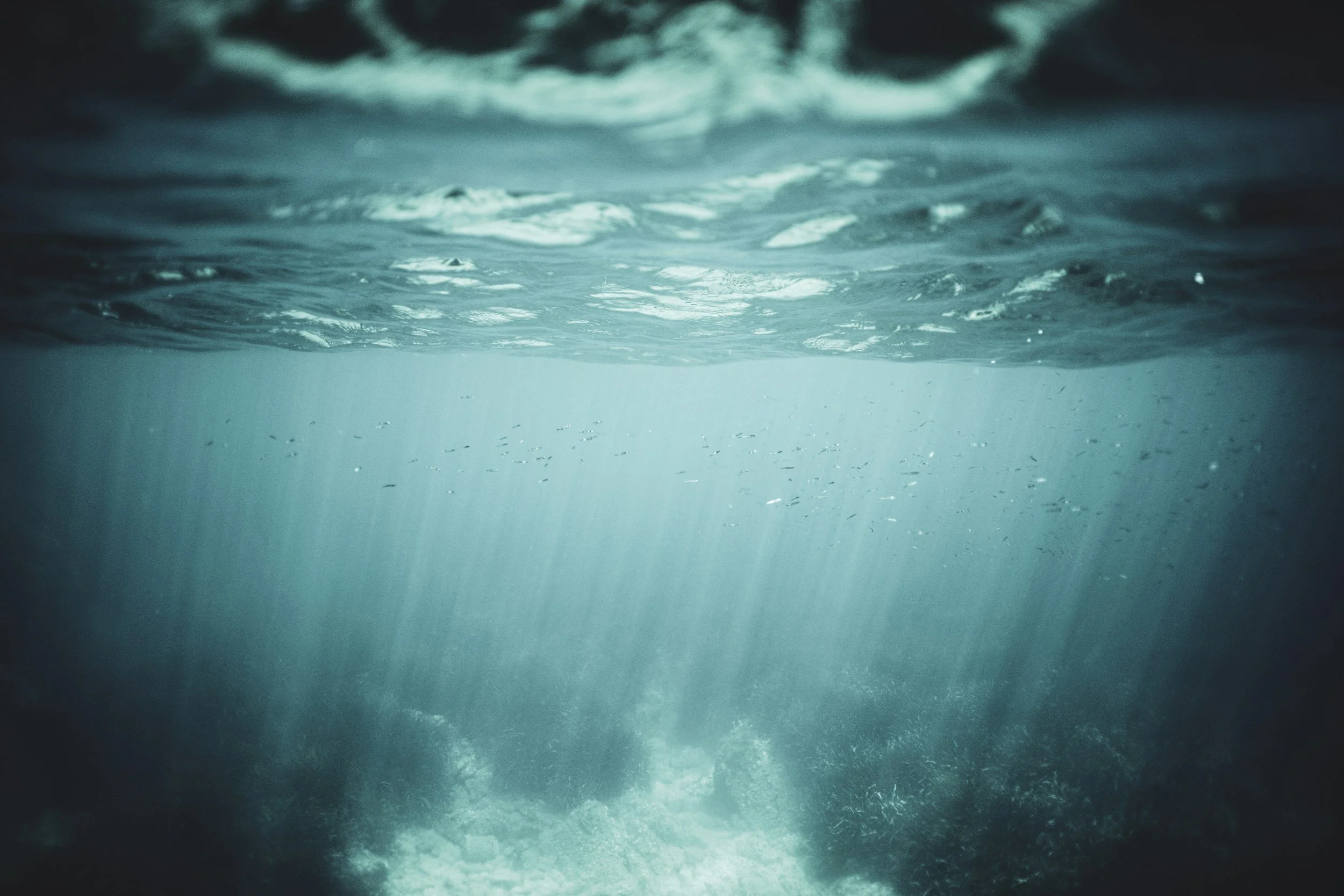 Blood, Sweat, and Tears: The Cost of Deep Psychotherapy