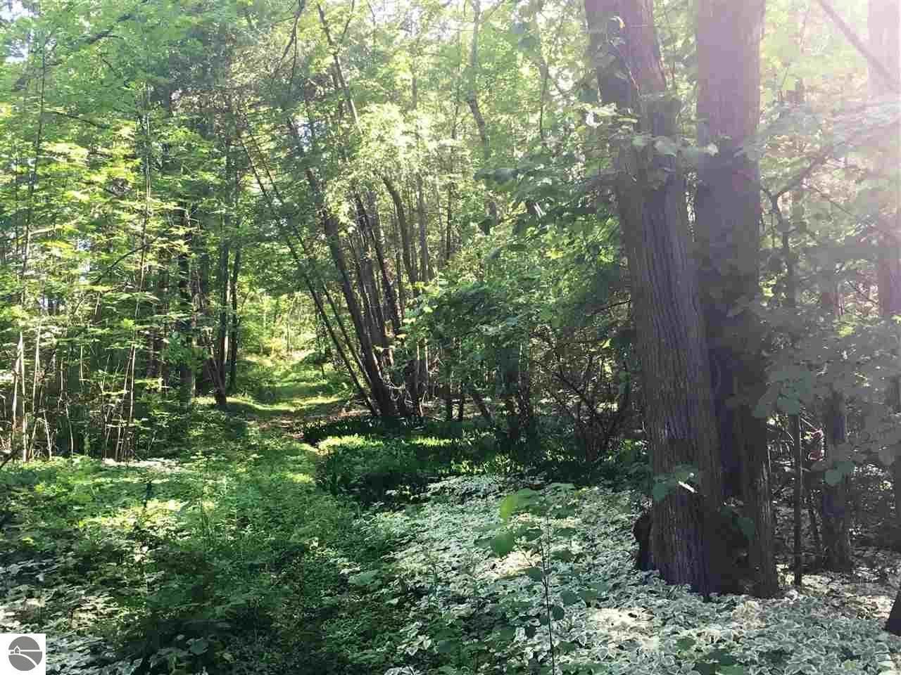 MICHIGAN - SAVING WILD SPACES