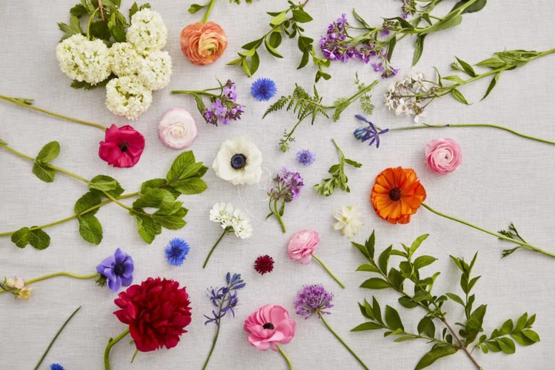 inspiration flowers