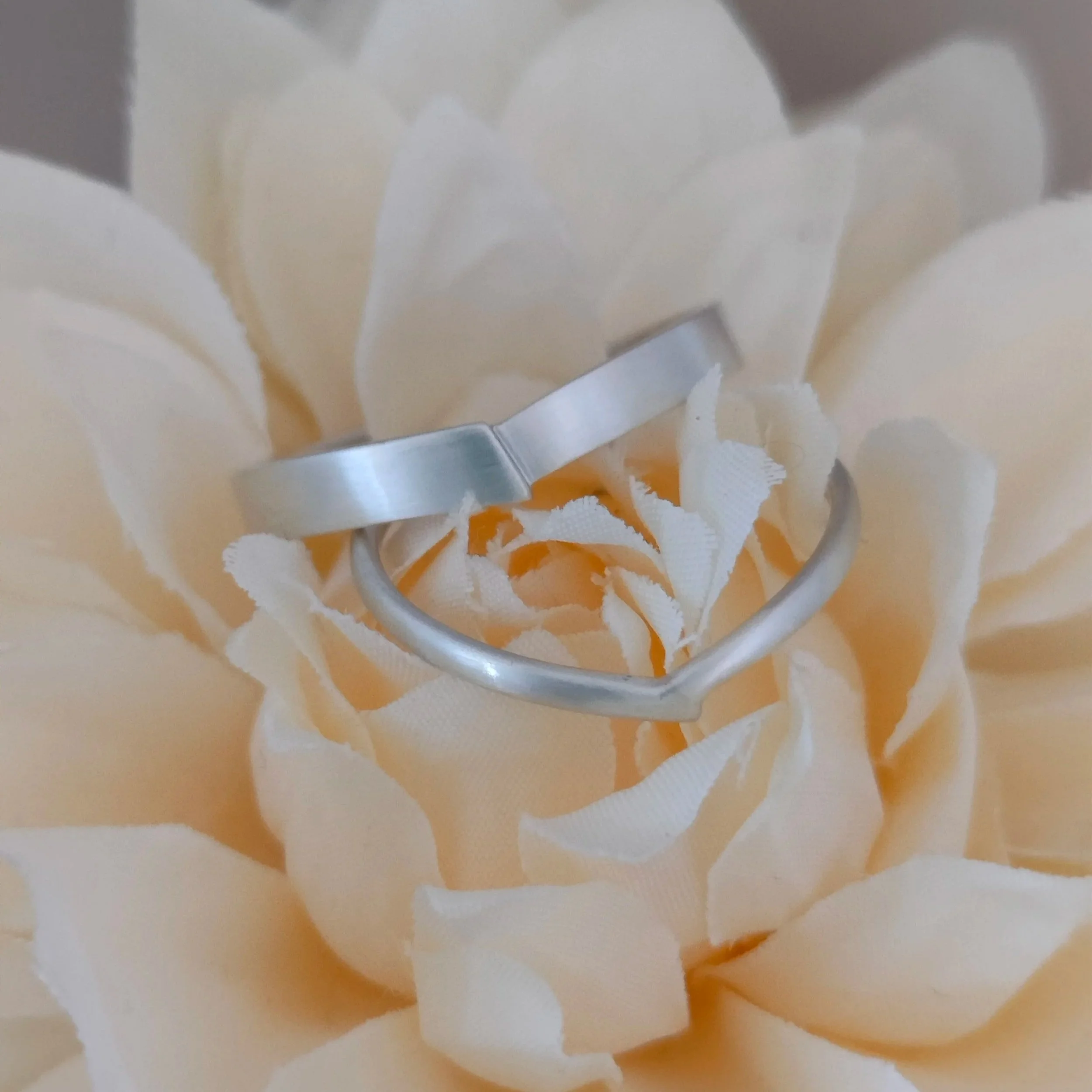 silver couples ring