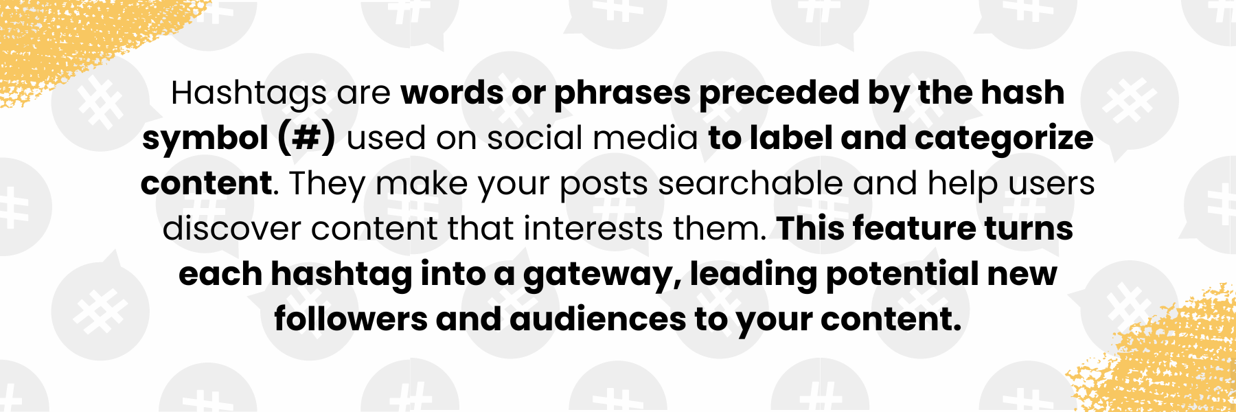 The best way to use hashtags on Instagram in 2024! — Pandabird Creative