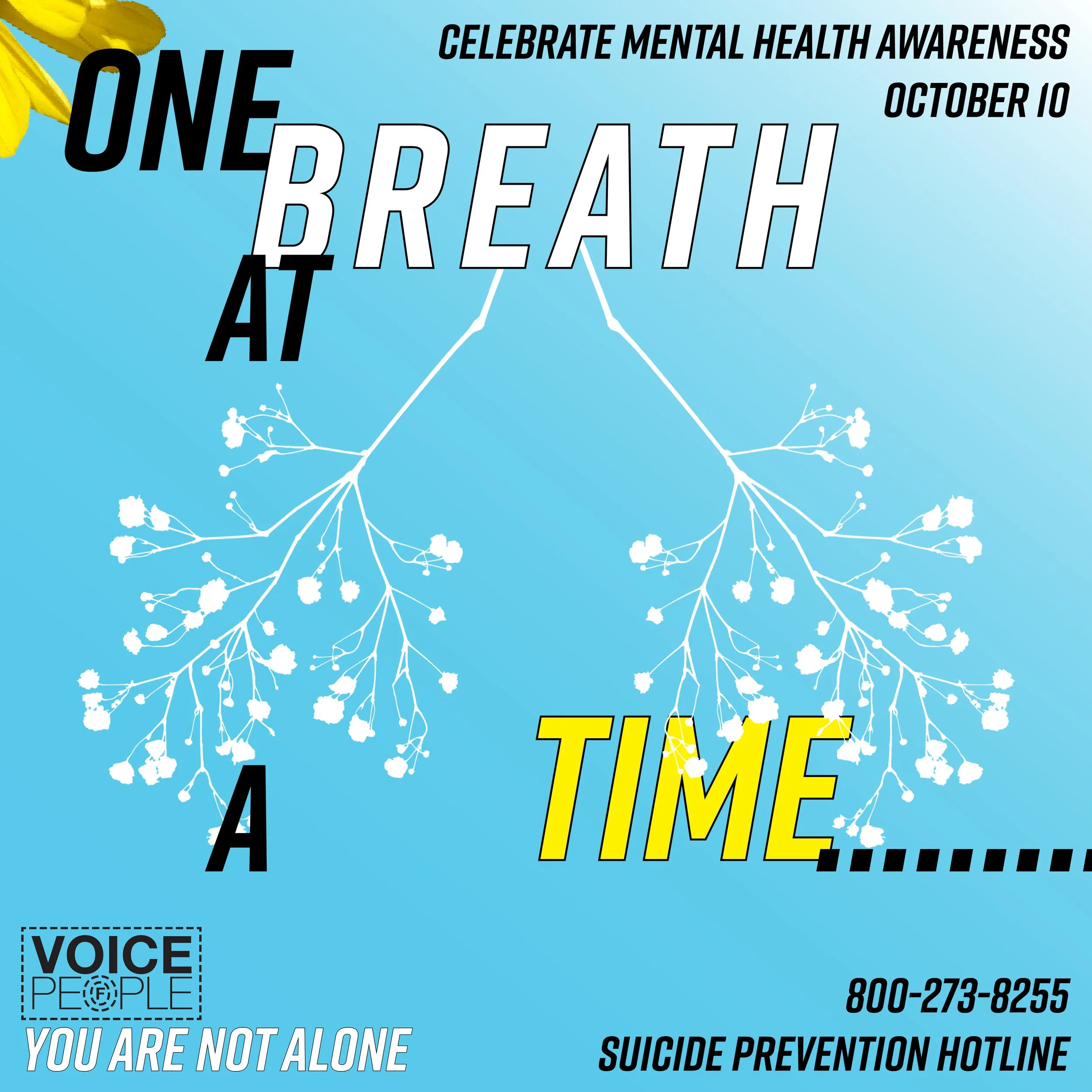 facebook advertisment