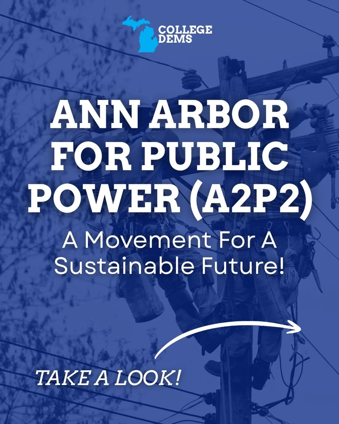 Take a look at the recent A2P2 Movement in Ann Arbor!