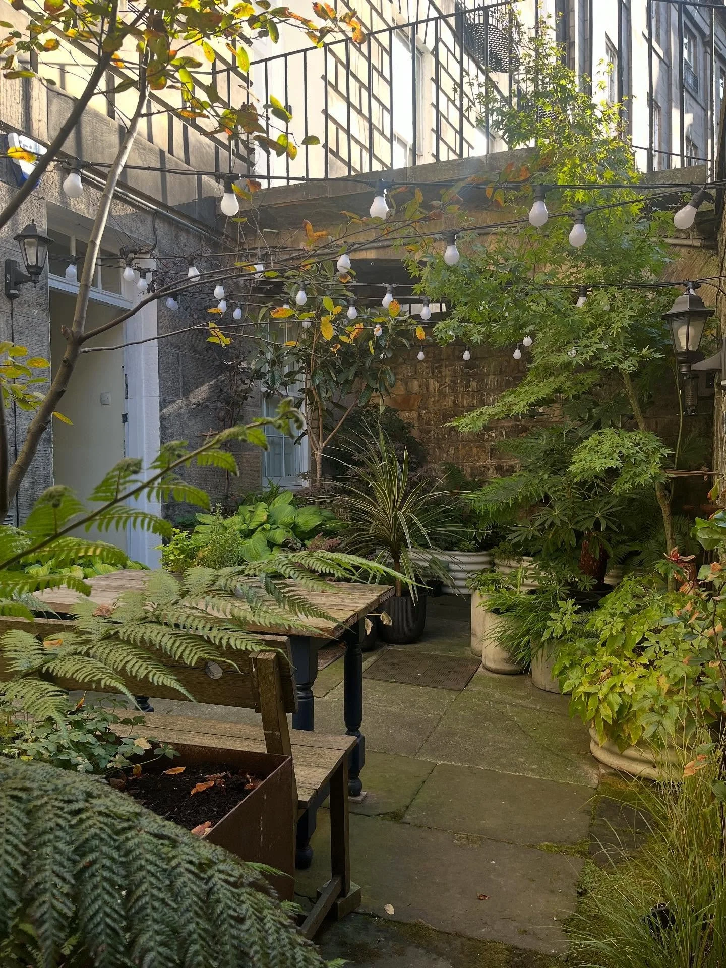 Autumnal vibes

#mygardentoday #autumn #edinburghgardendesigner