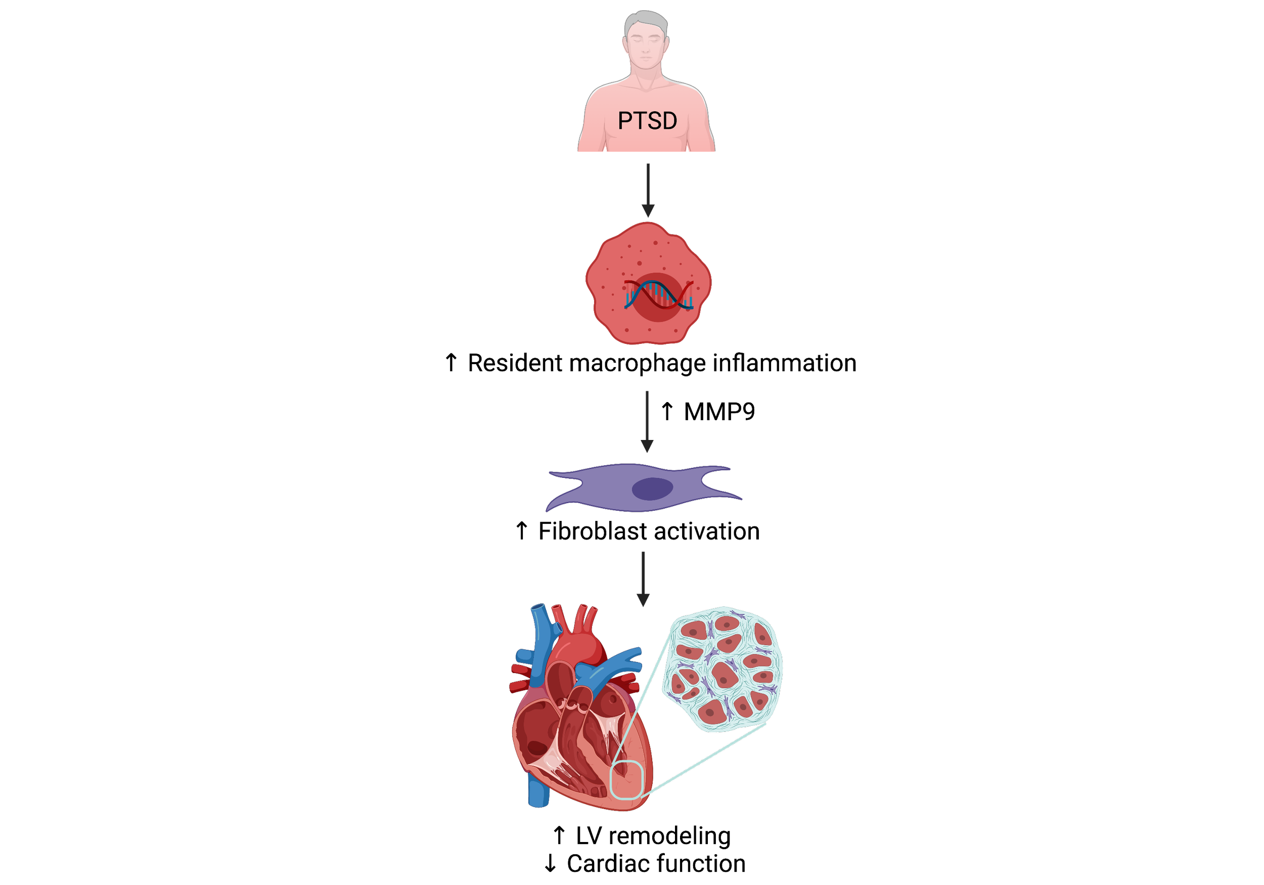 Pennell Lab Projects — DeLeon-Pennell Laboratory