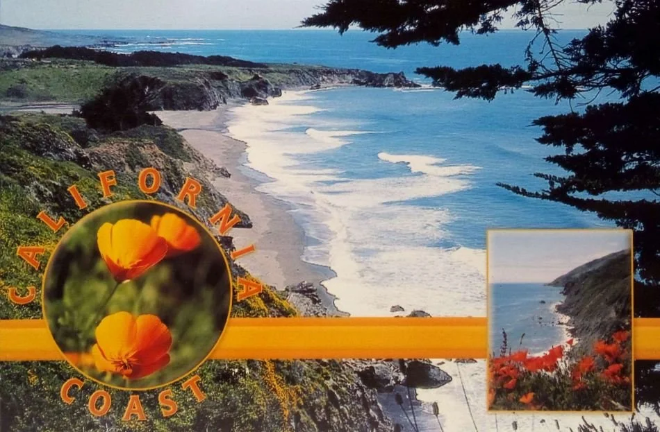 Peaceful View of The California Coast